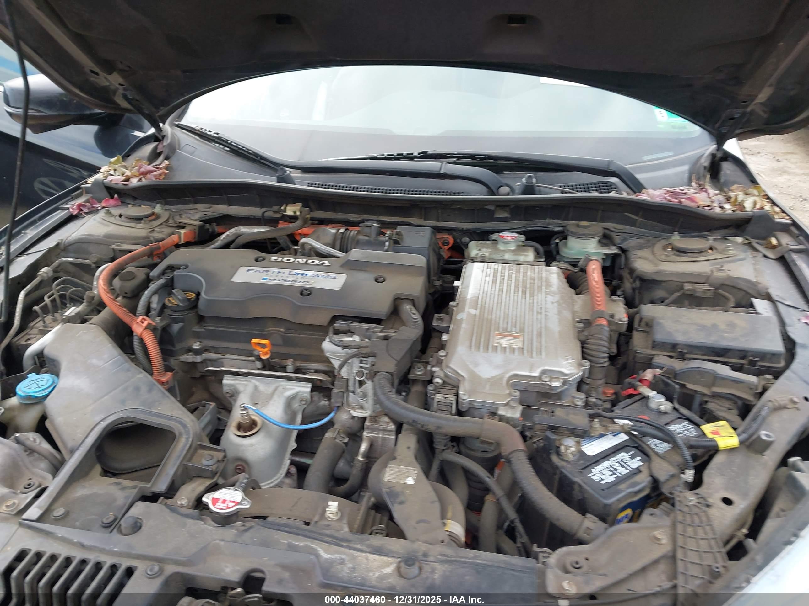 HONDA ACCORD image 10