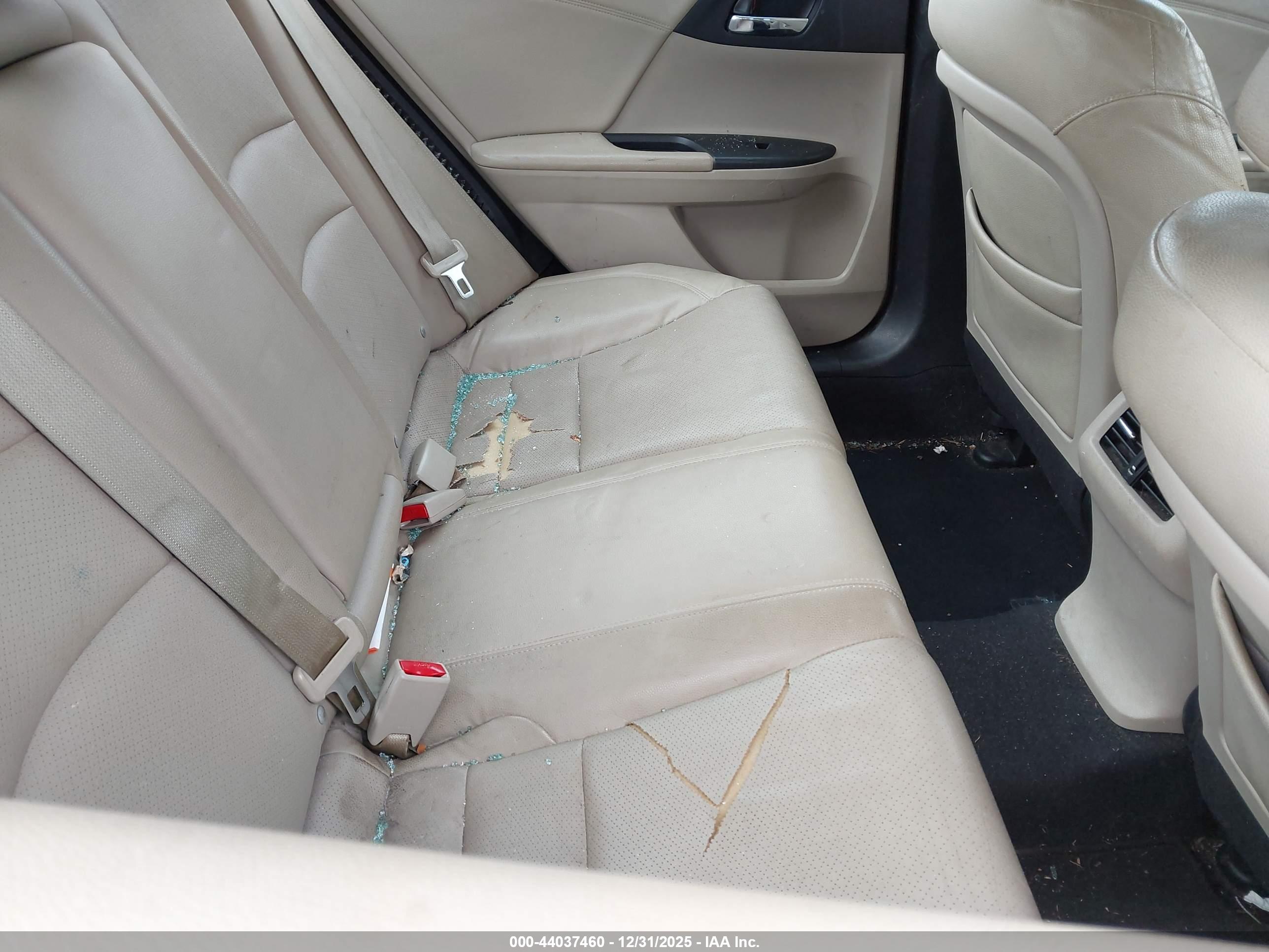 HONDA ACCORD image 8