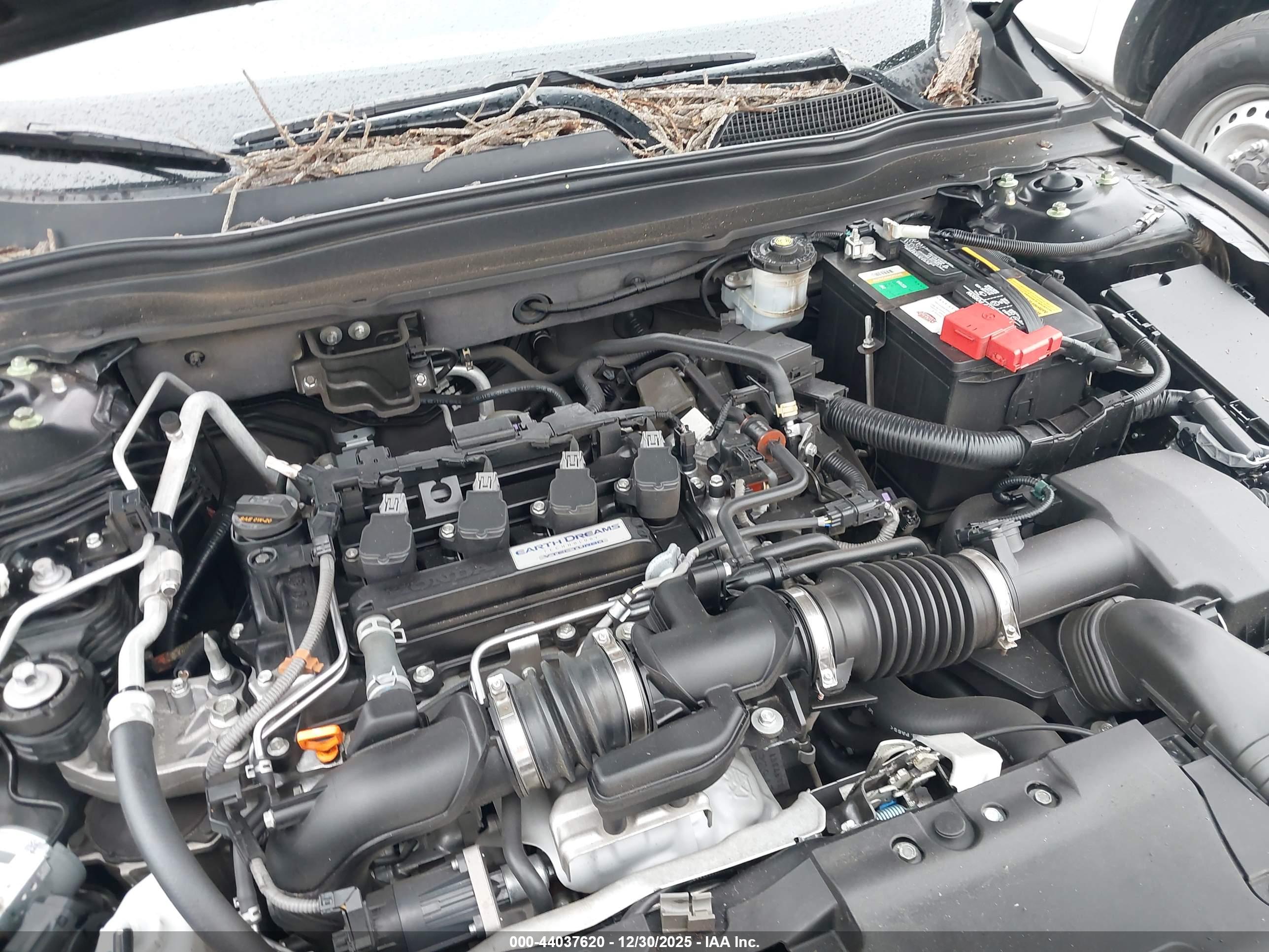 HONDA ACCORD image 10