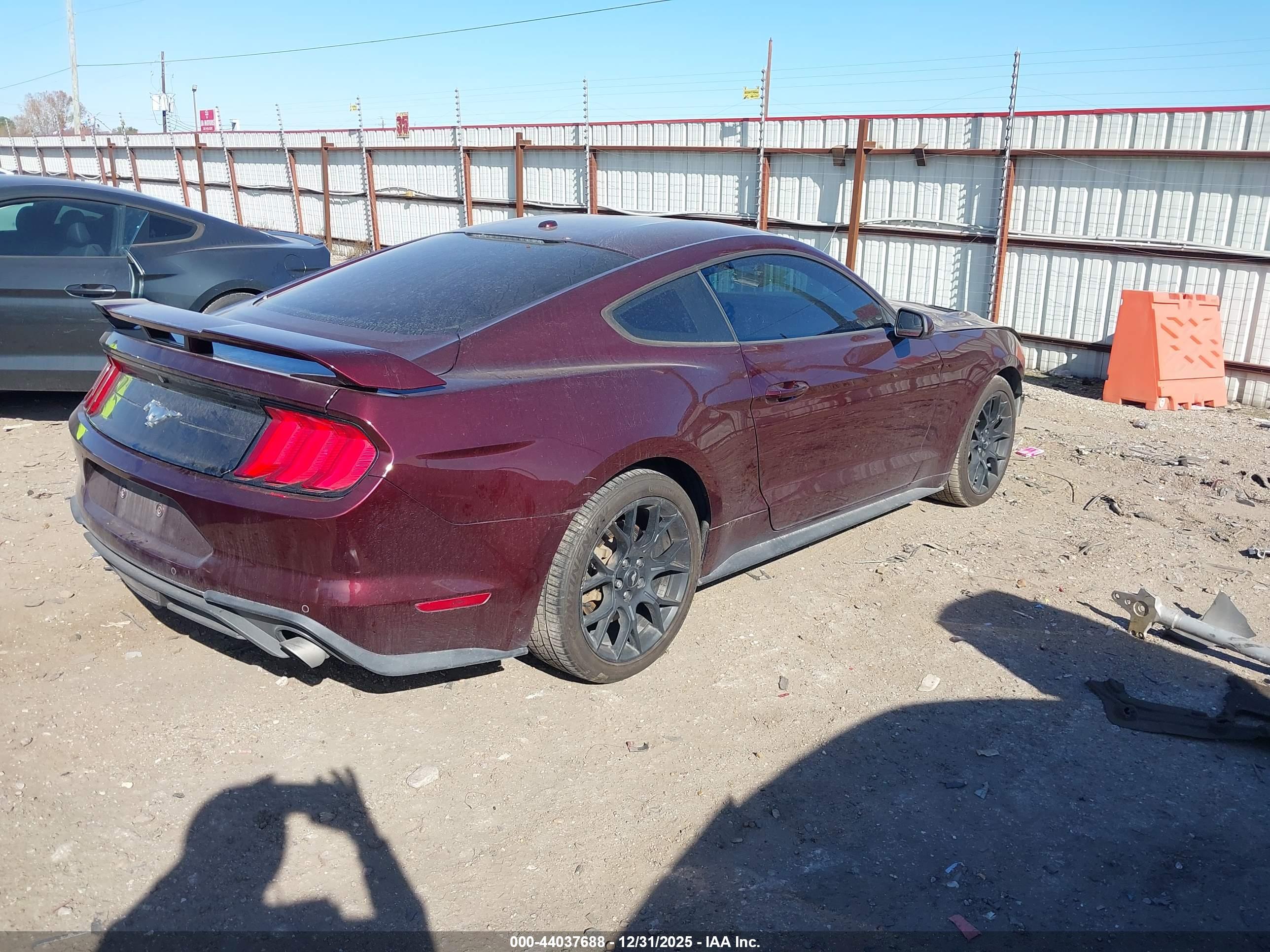 FORD MUSTANG image 4