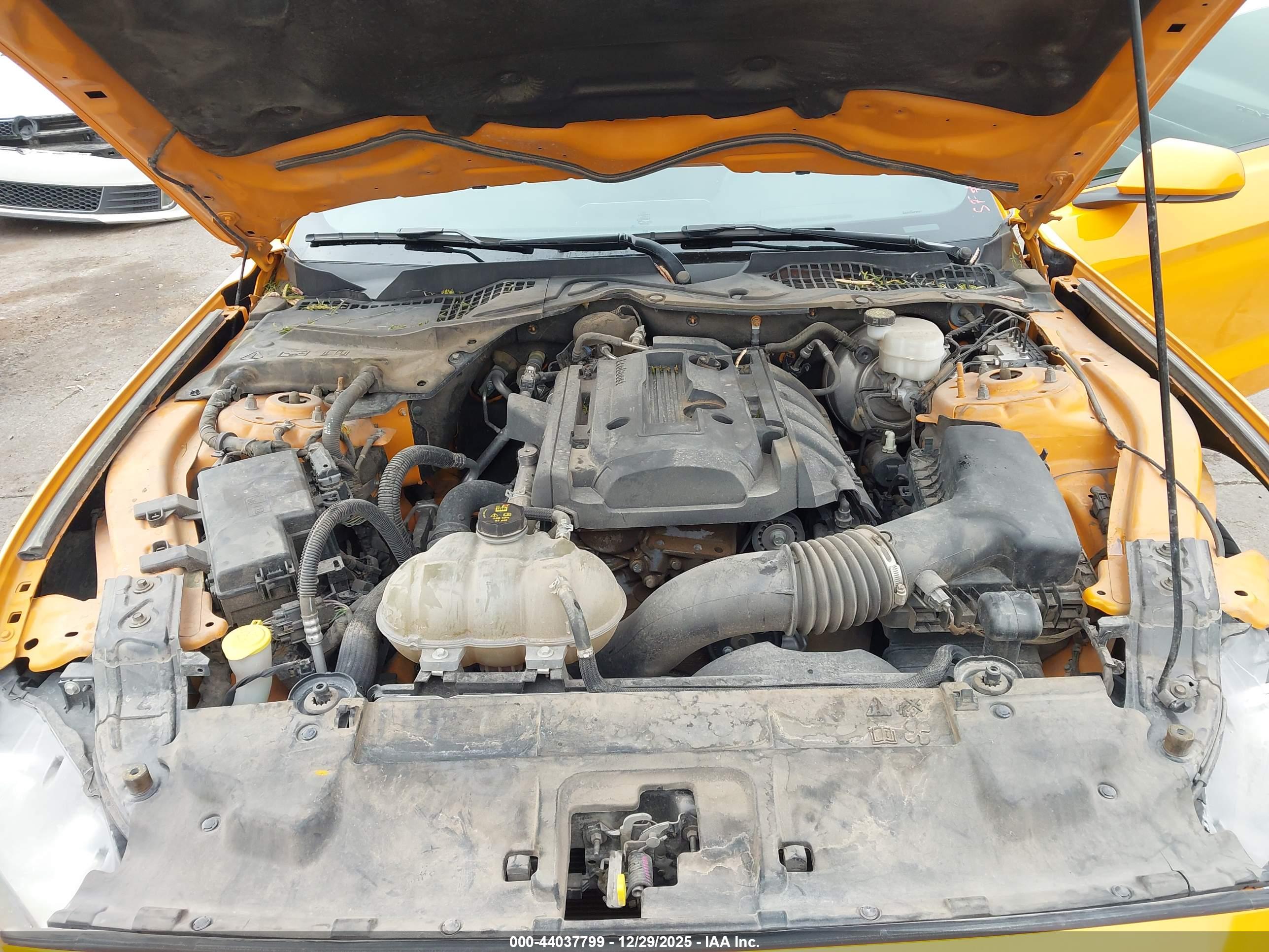 FORD MUSTANG image 10