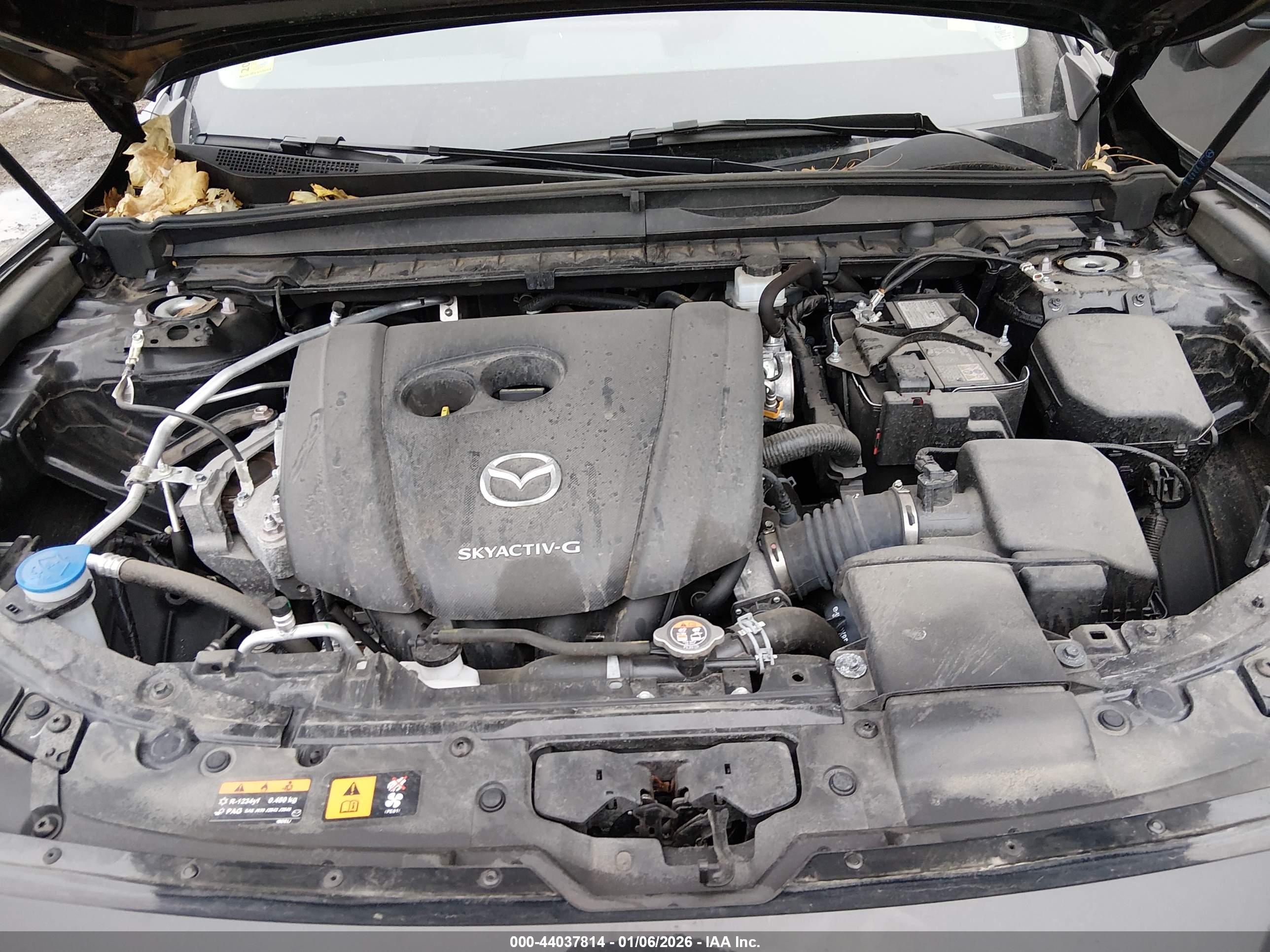 MAZDA CX-50 image 10