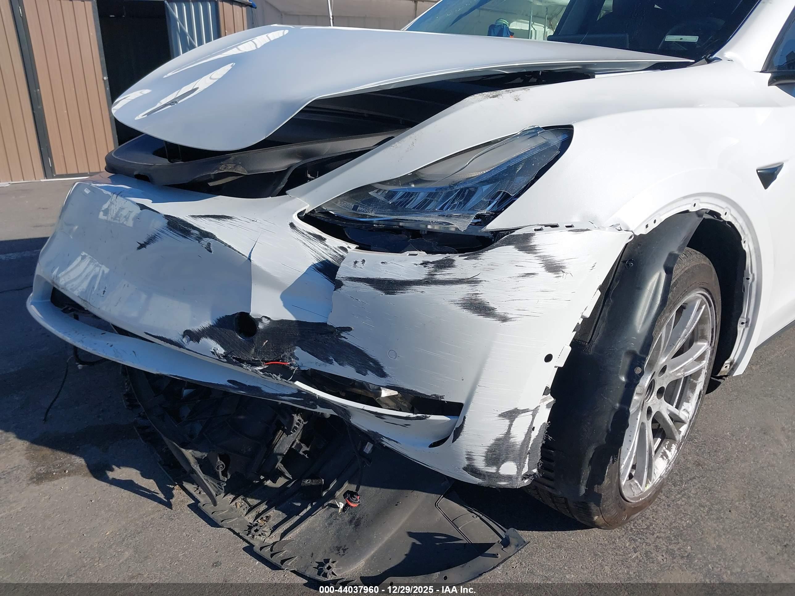 TESLA MODEL image 6