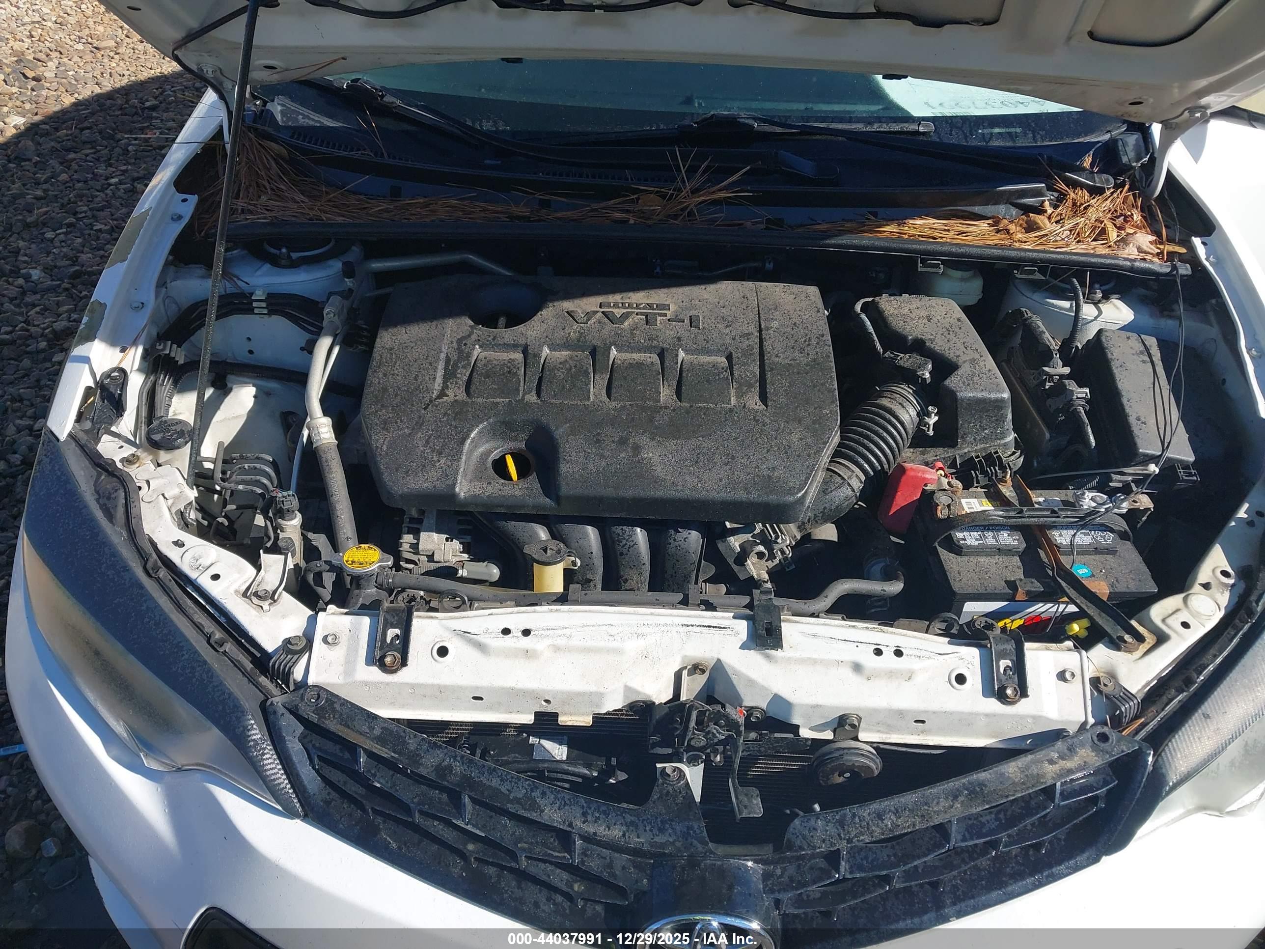 TOYOTA COROLLA image 10