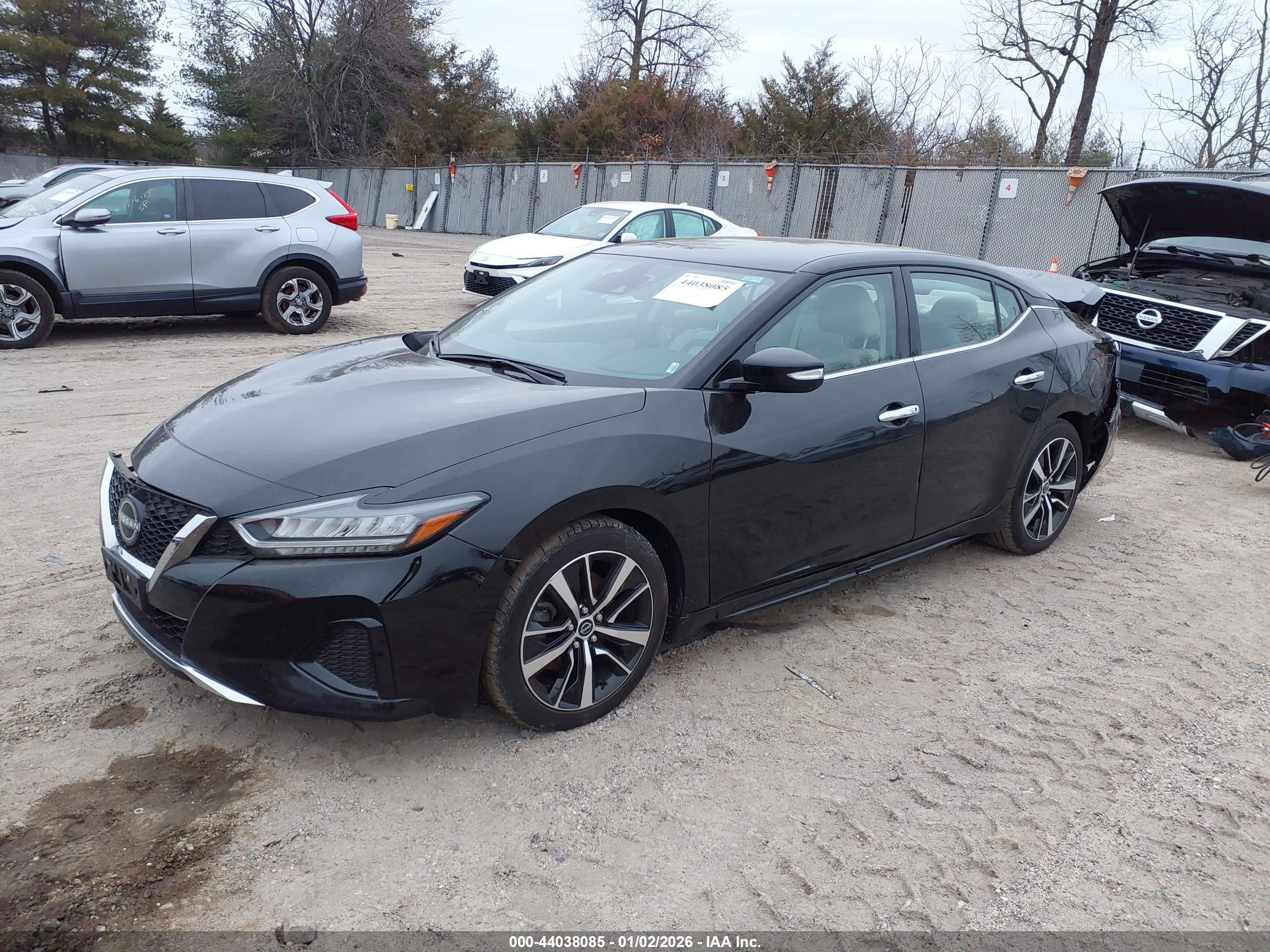 NISSAN MAXIMA image 2