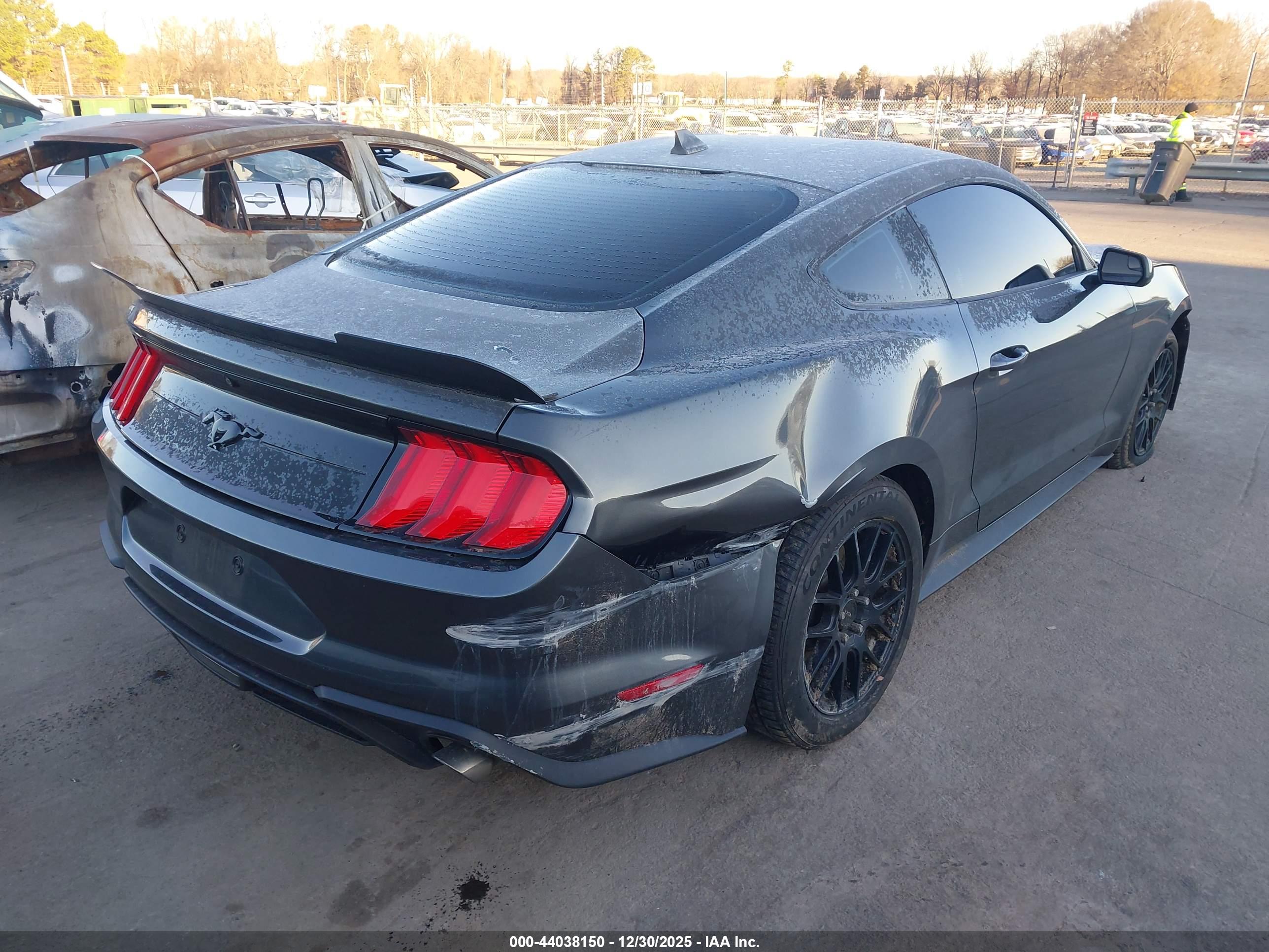 FORD MUSTANG image 4