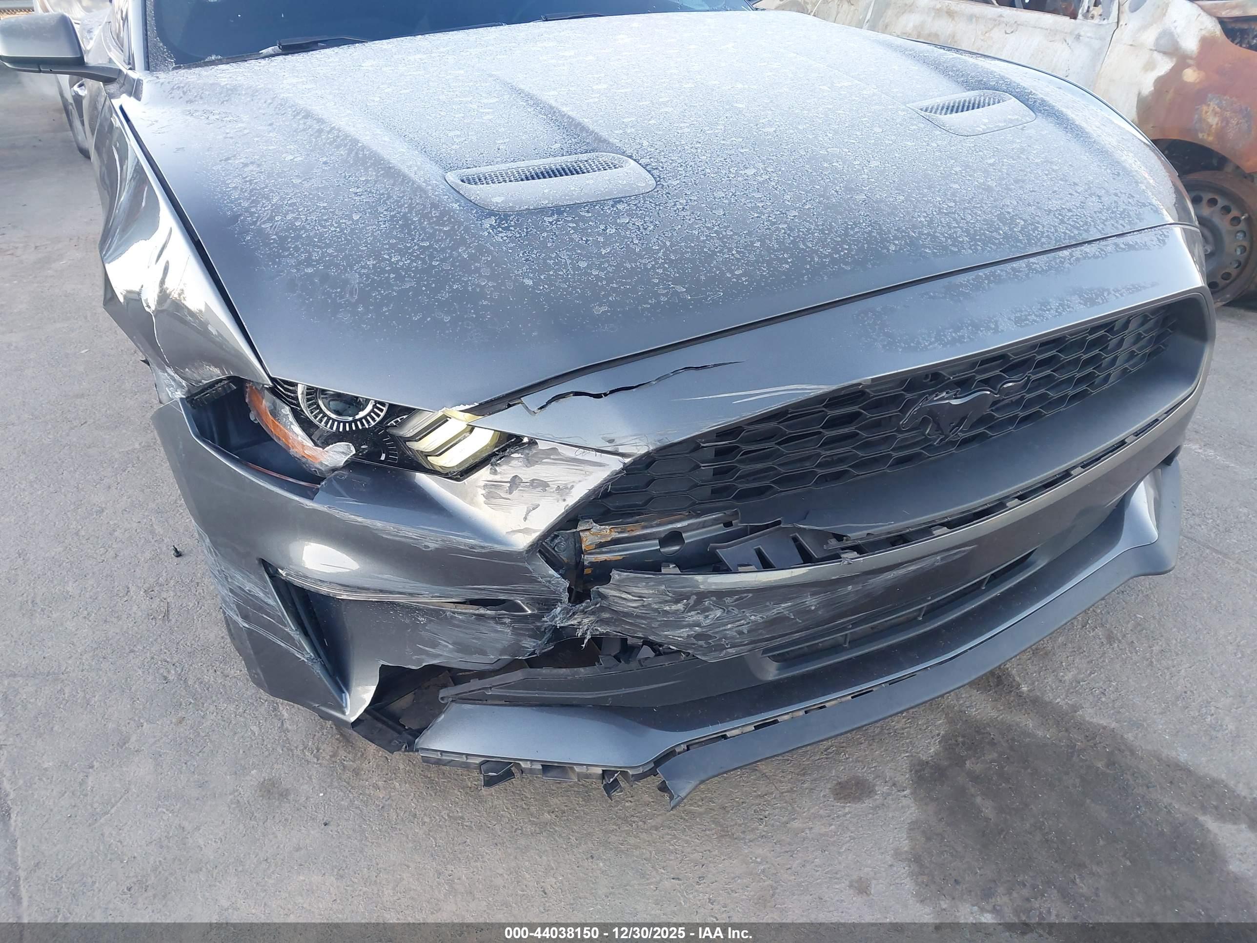 FORD MUSTANG image 6