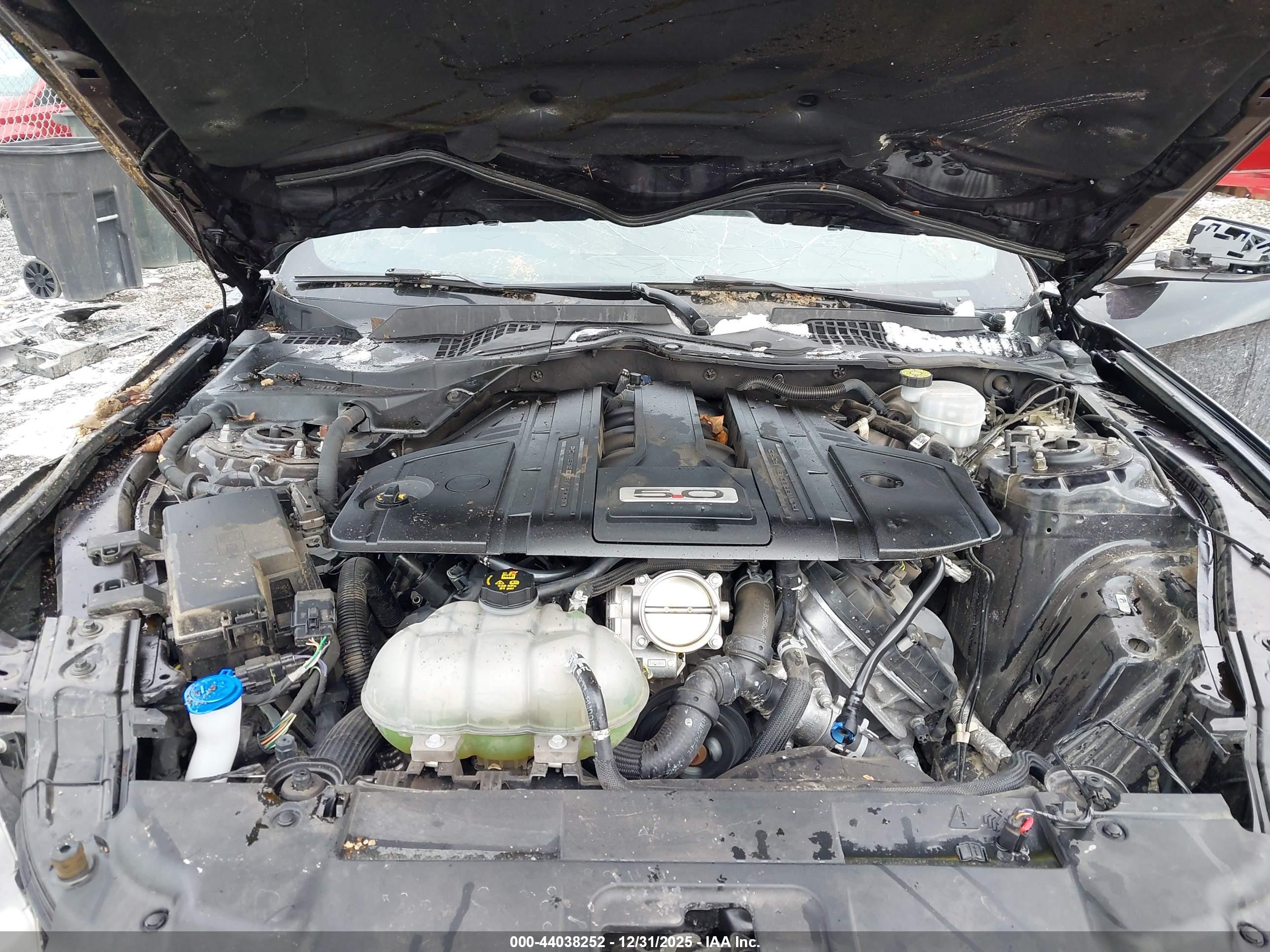 FORD MUSTANG image 10