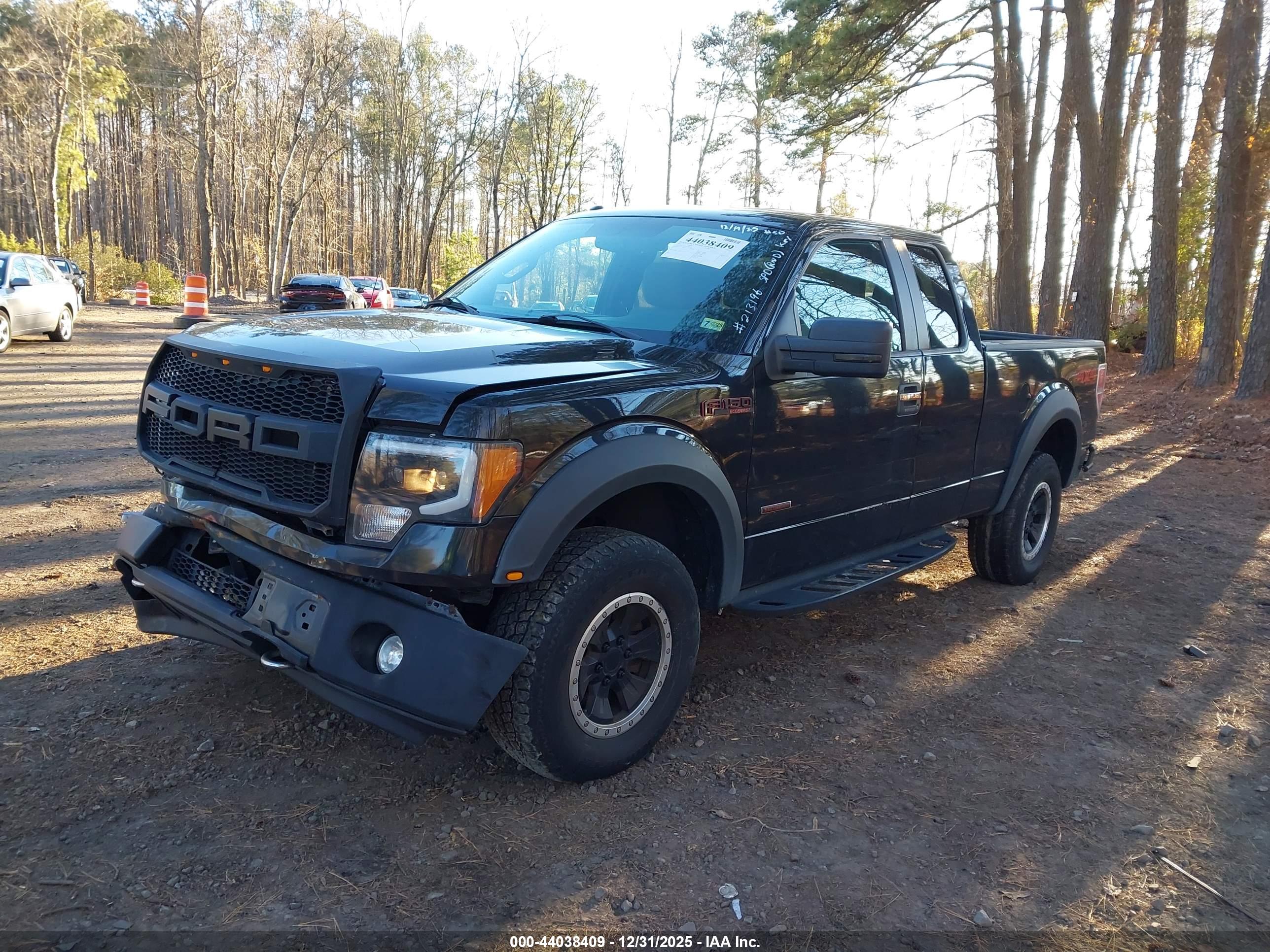 FORD F-150 image 2