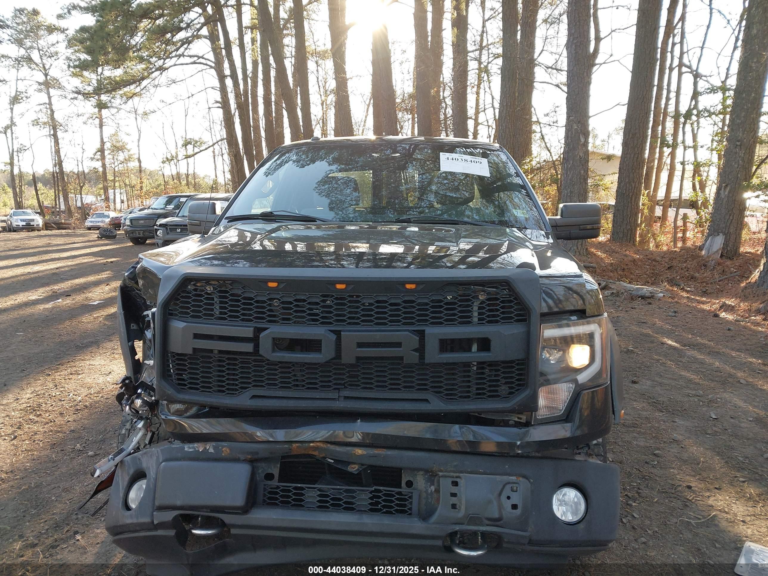 FORD F-150 image 6