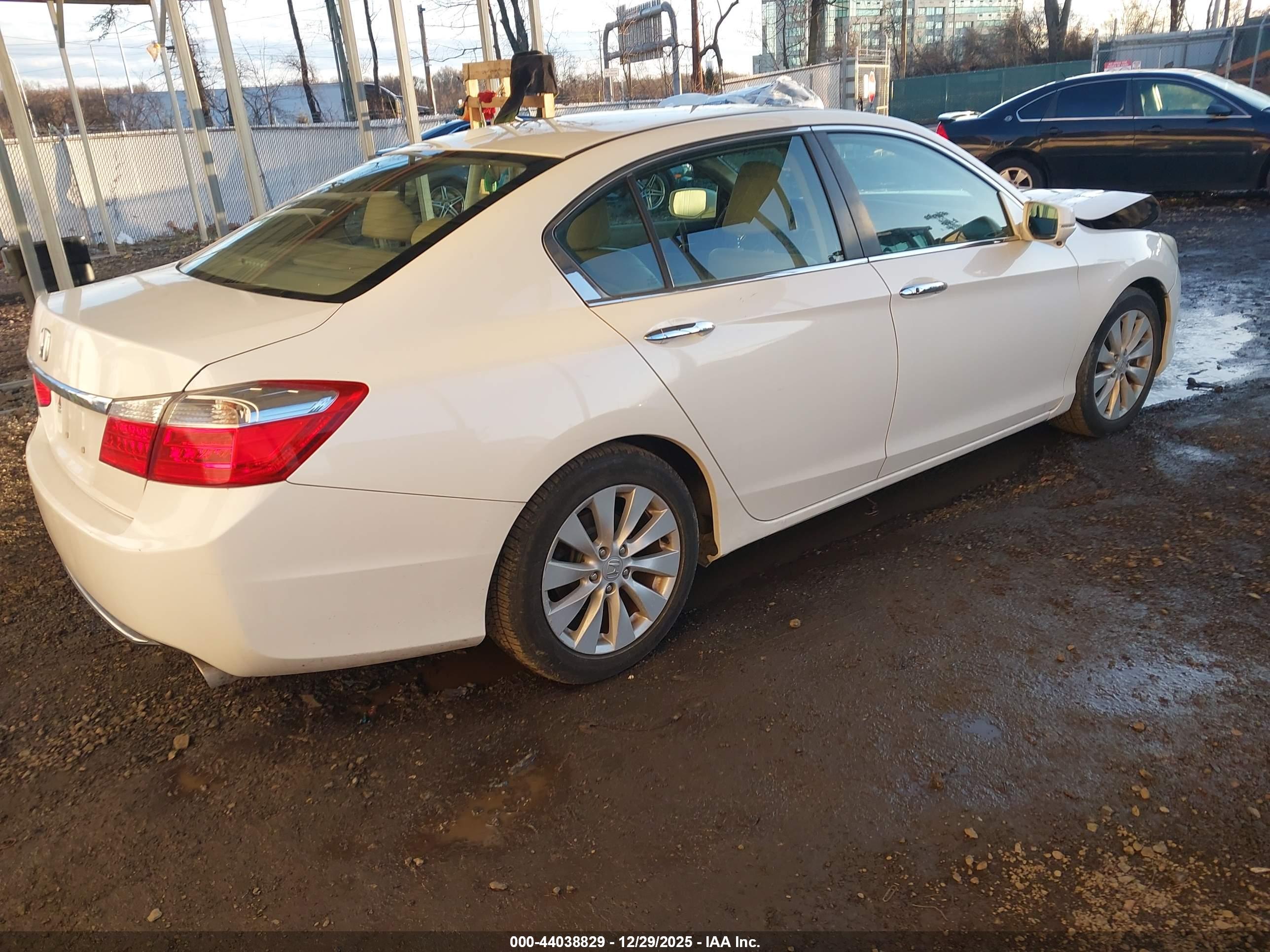 HONDA ACCORD image 4
