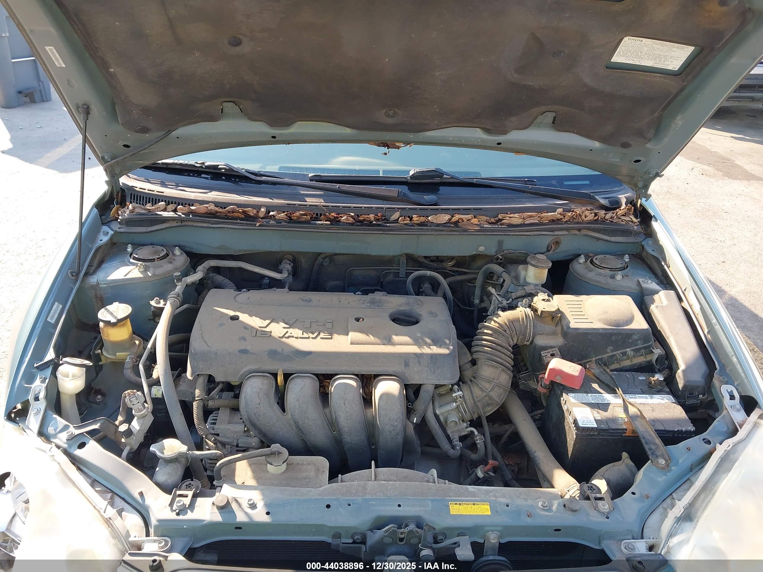 TOYOTA COROLLA image 10