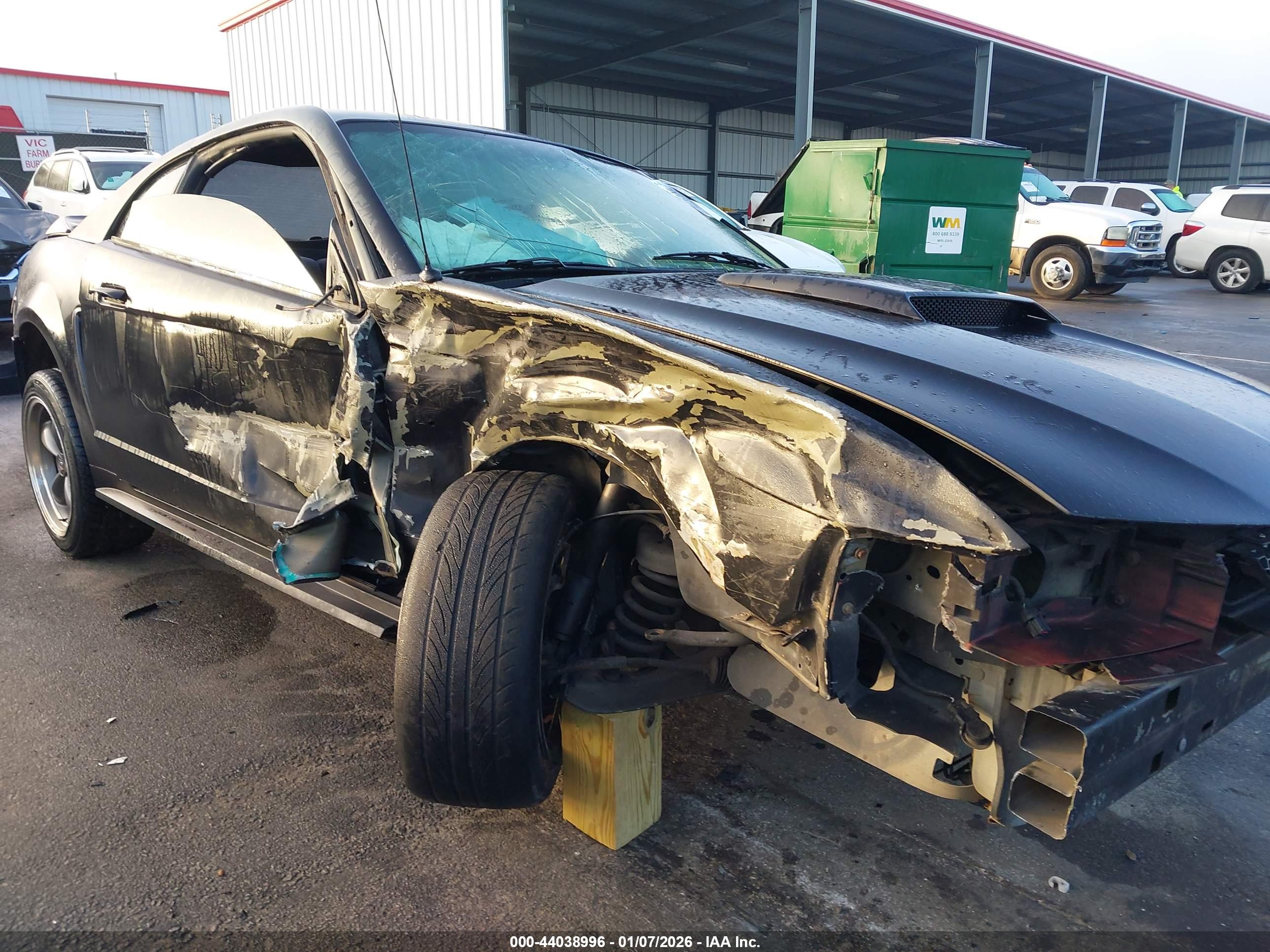 FORD MUSTANG image 6