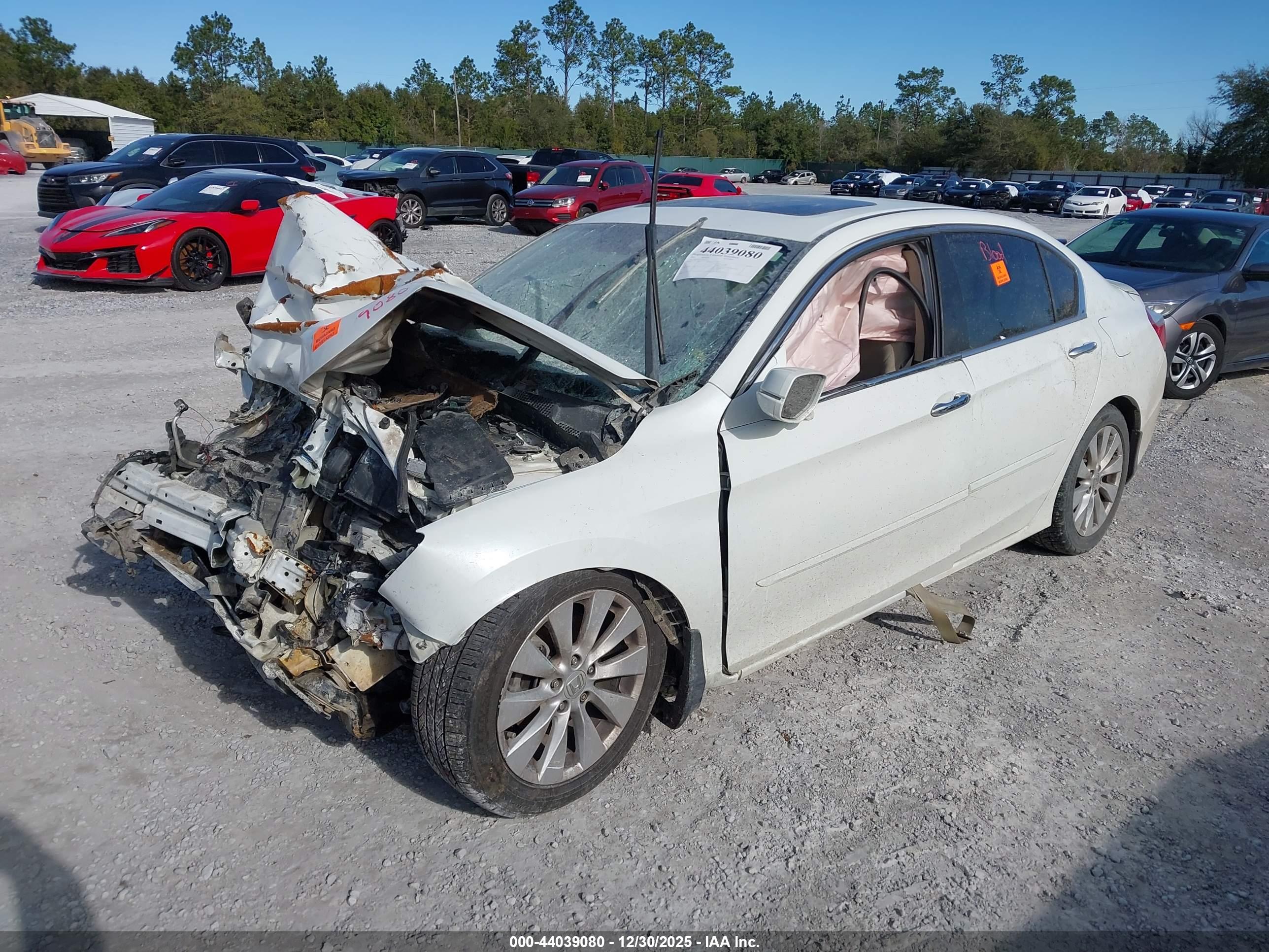 HONDA ACCORD image 2