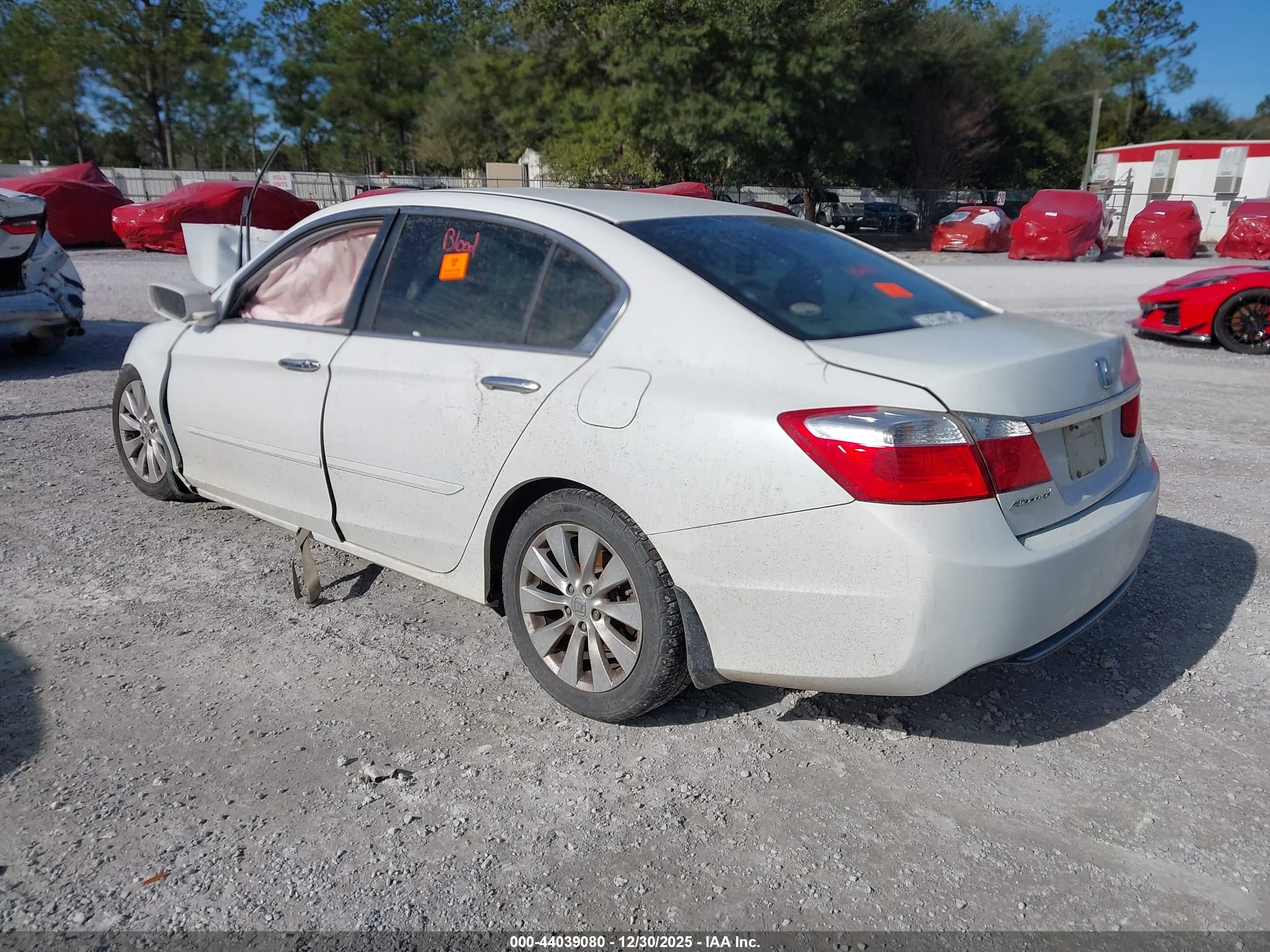 HONDA ACCORD image 3