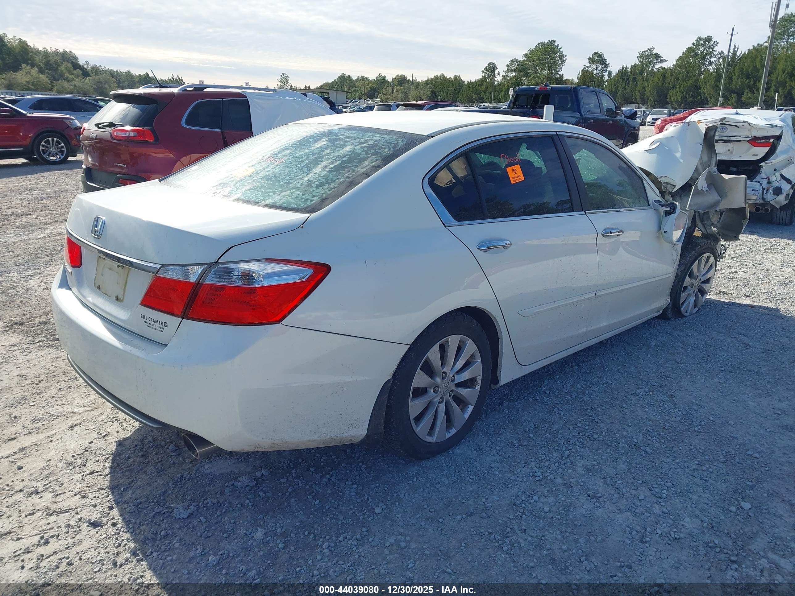 HONDA ACCORD image 4