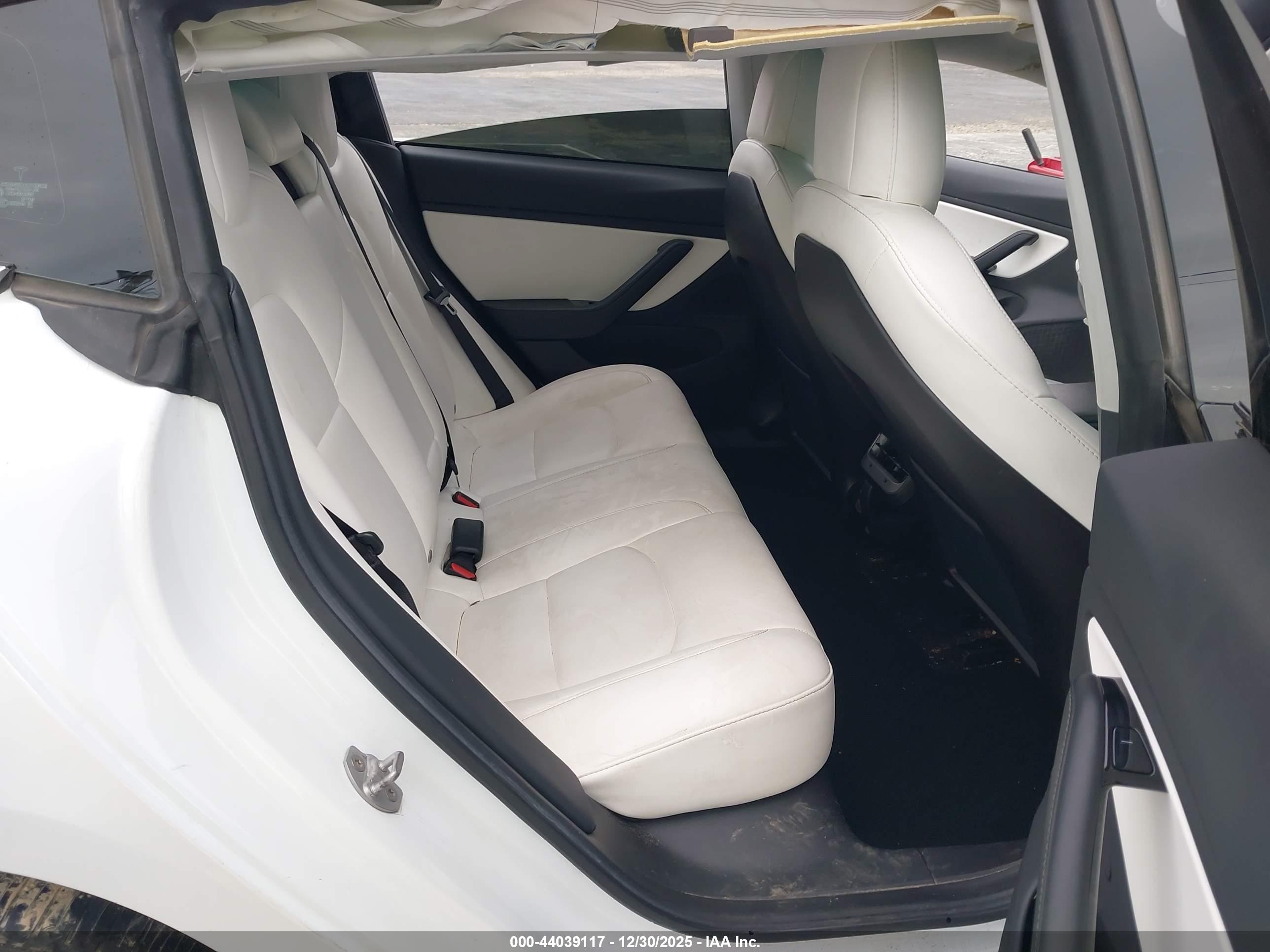 TESLA MODEL image 8