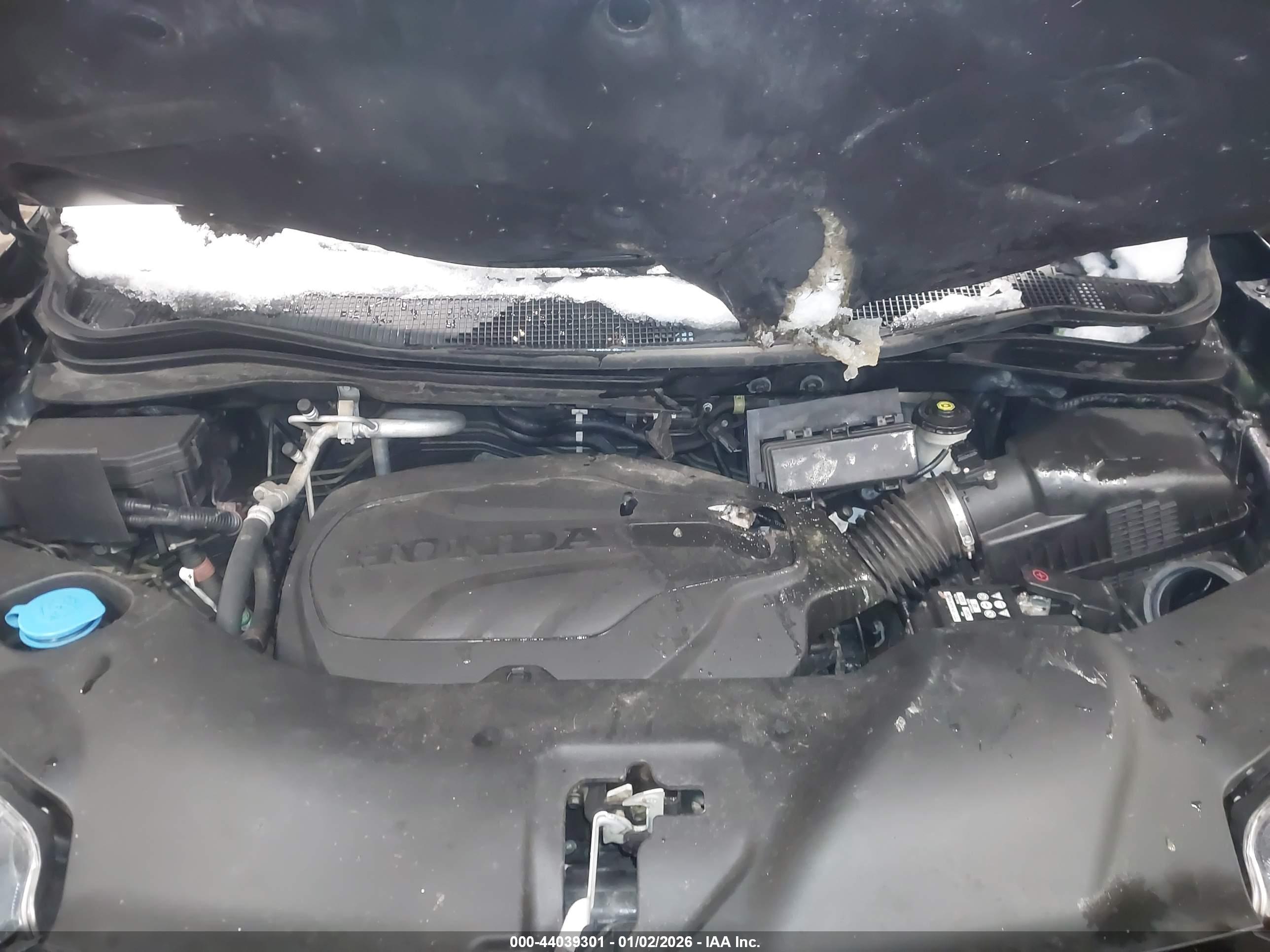 HONDA PASSPORT image 10