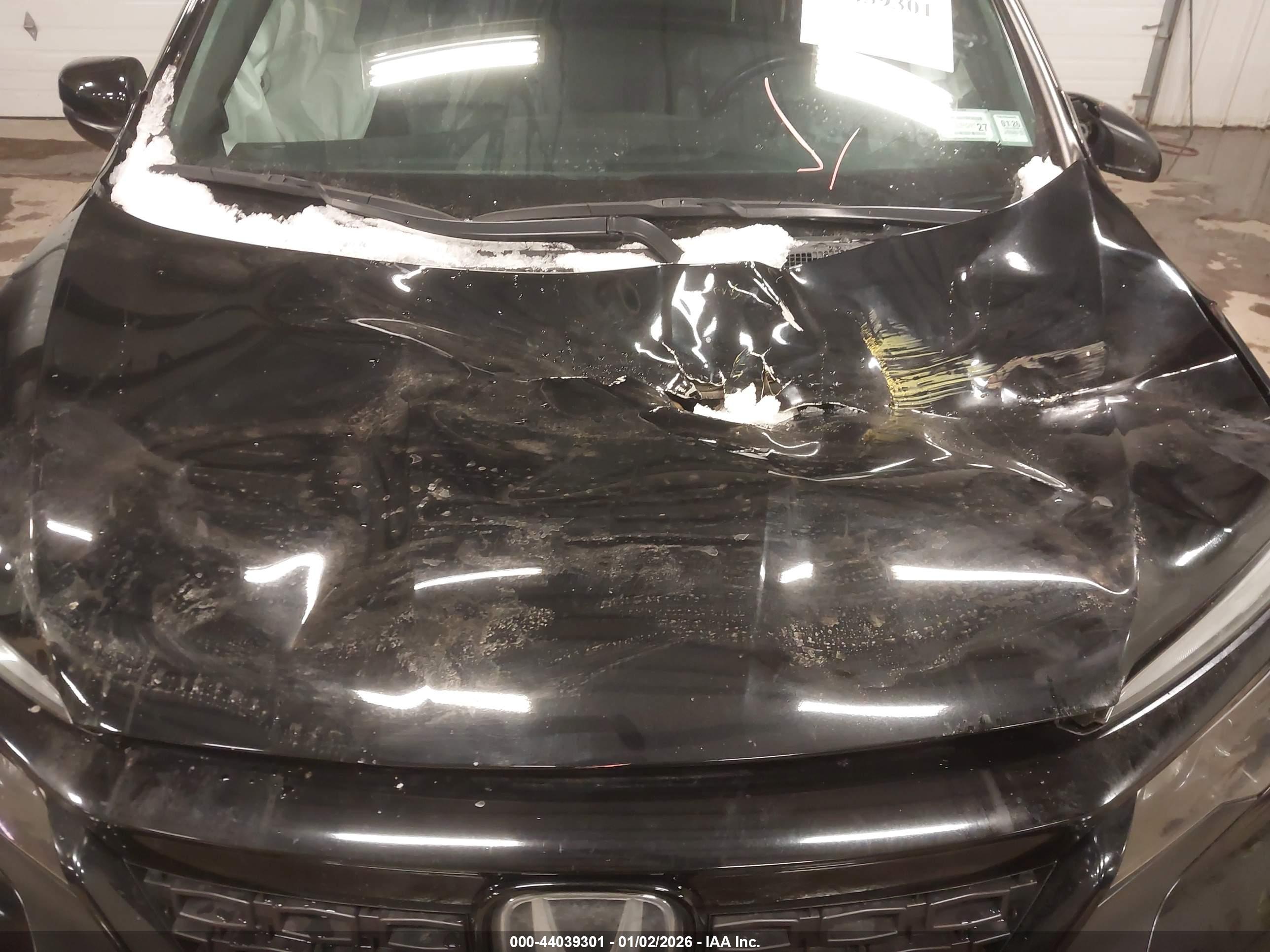 HONDA PASSPORT image 6