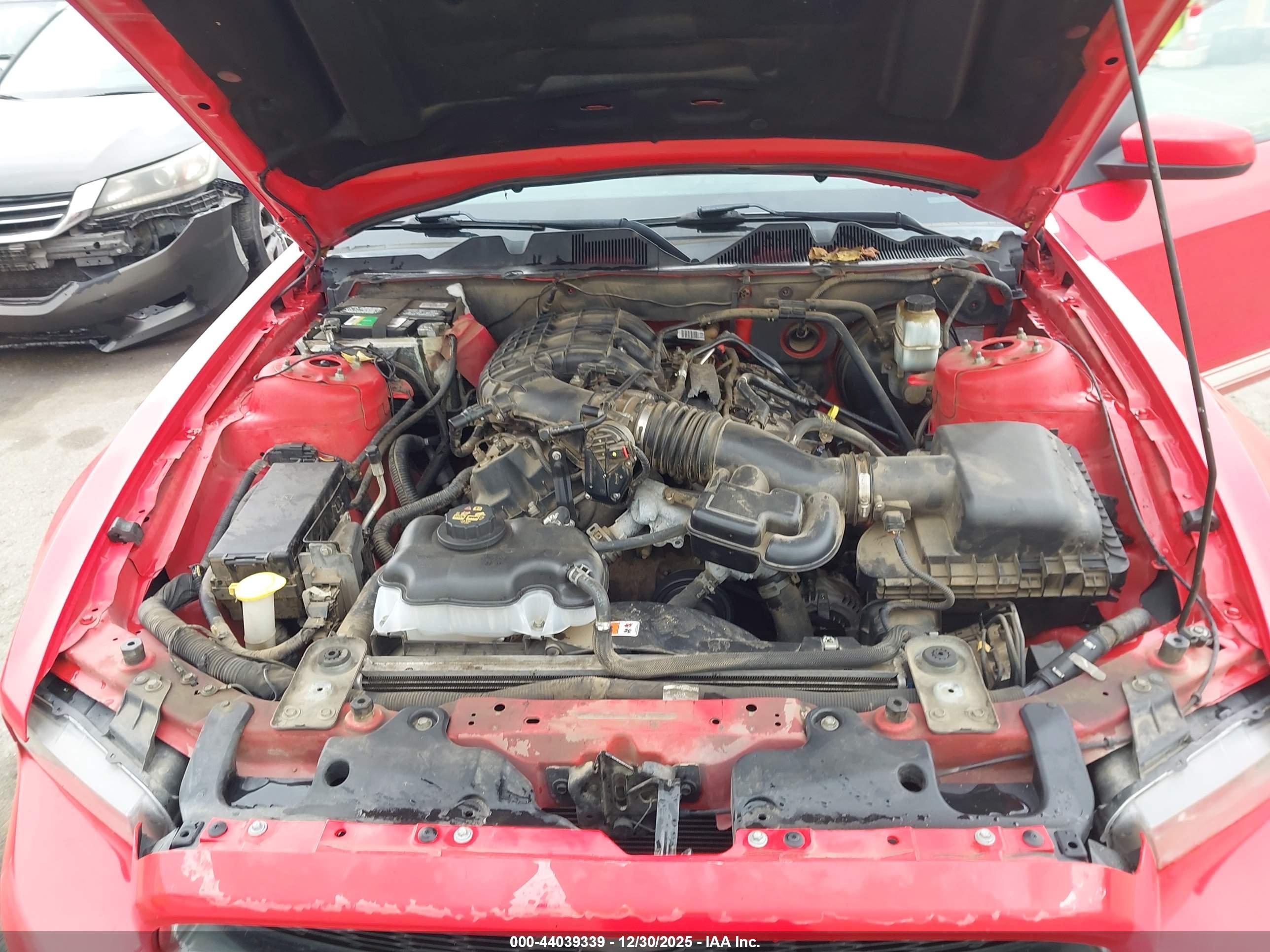 FORD MUSTANG image 10