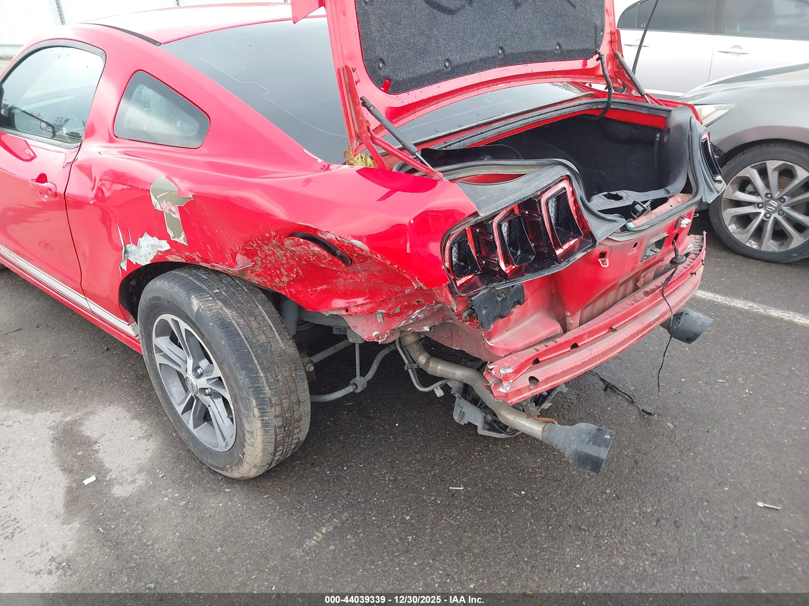 FORD MUSTANG image 6