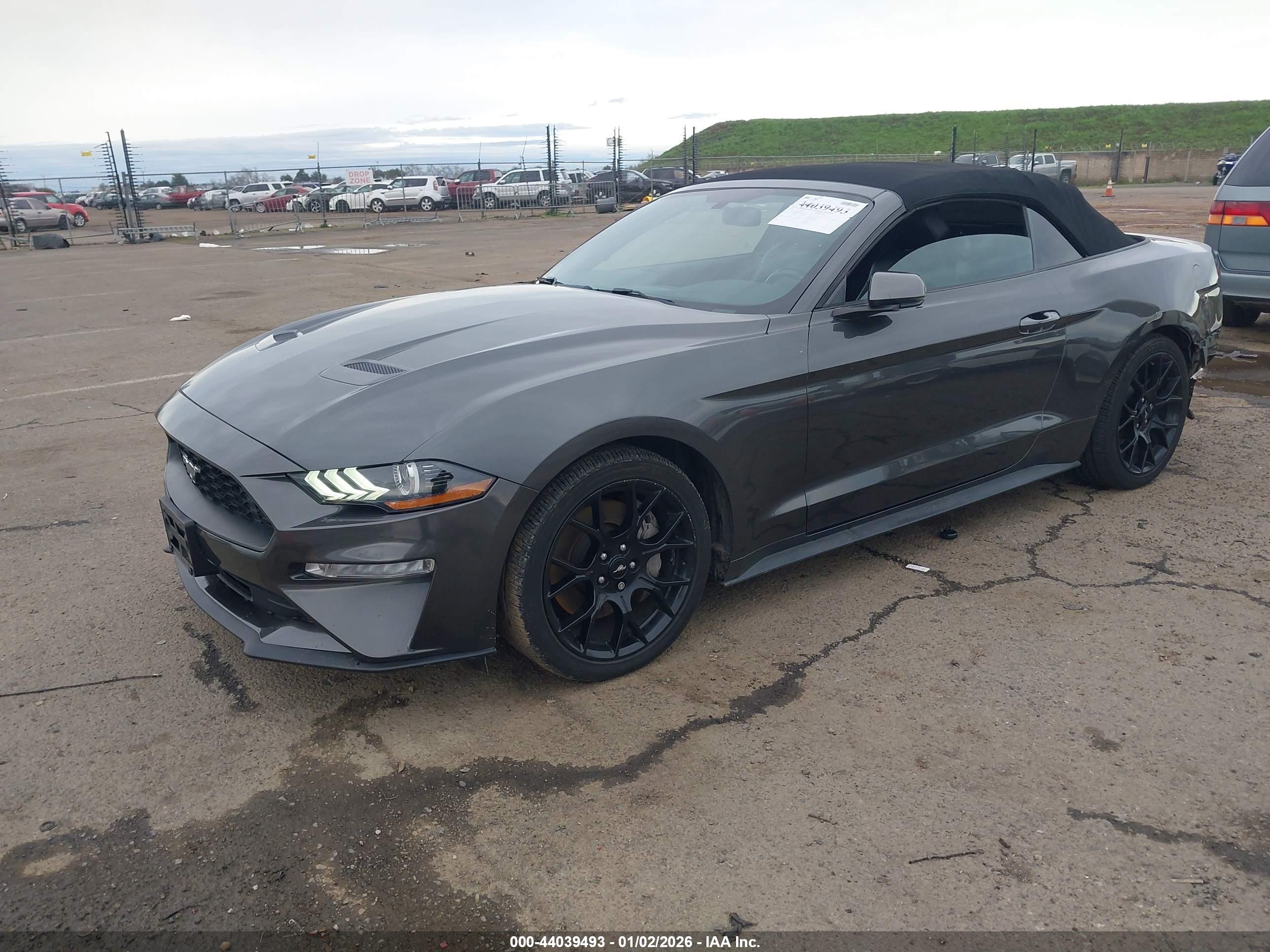 FORD MUSTANG image 2