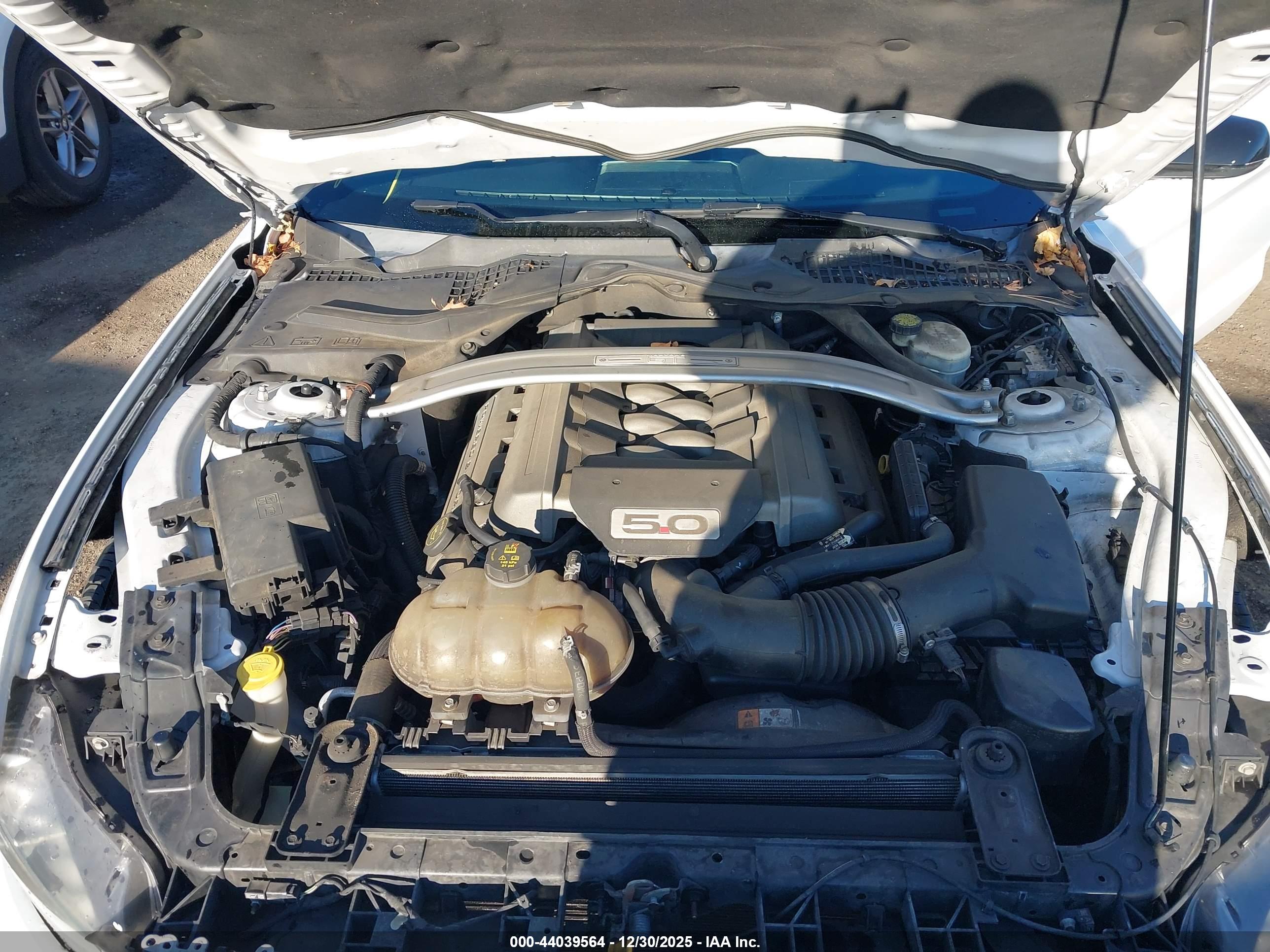 FORD MUSTANG image 10