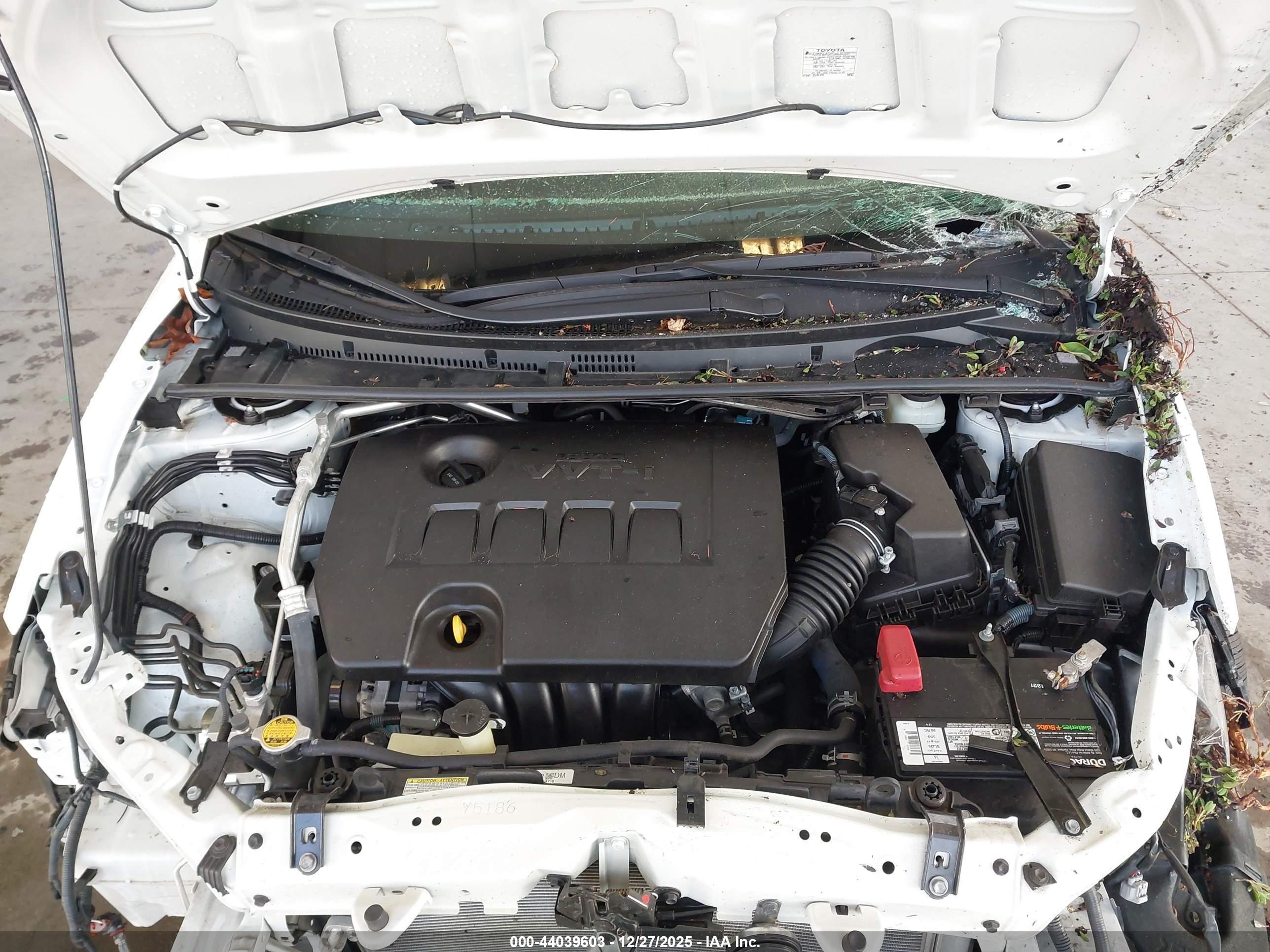TOYOTA COROLLA image 10