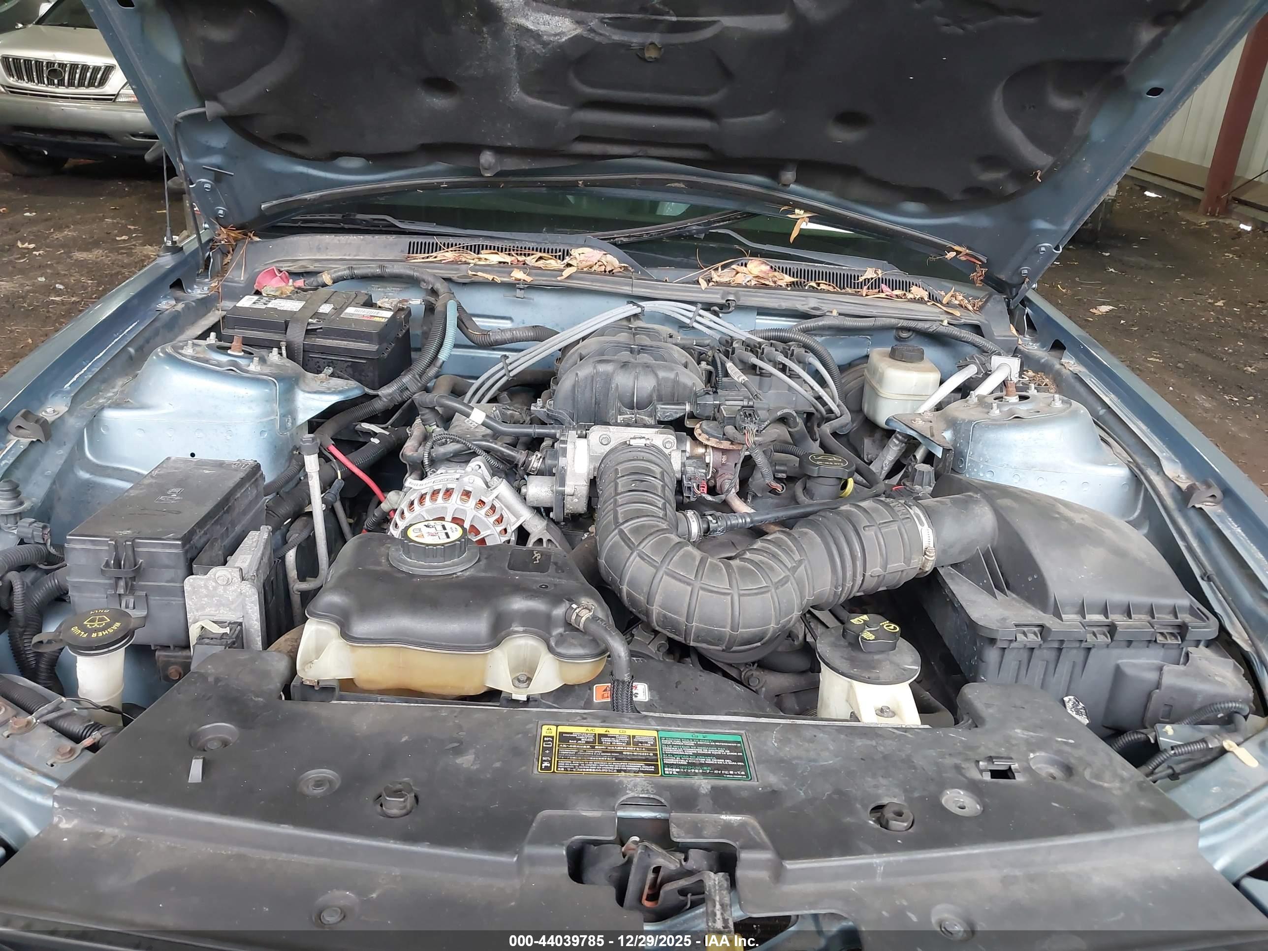 FORD MUSTANG image 10