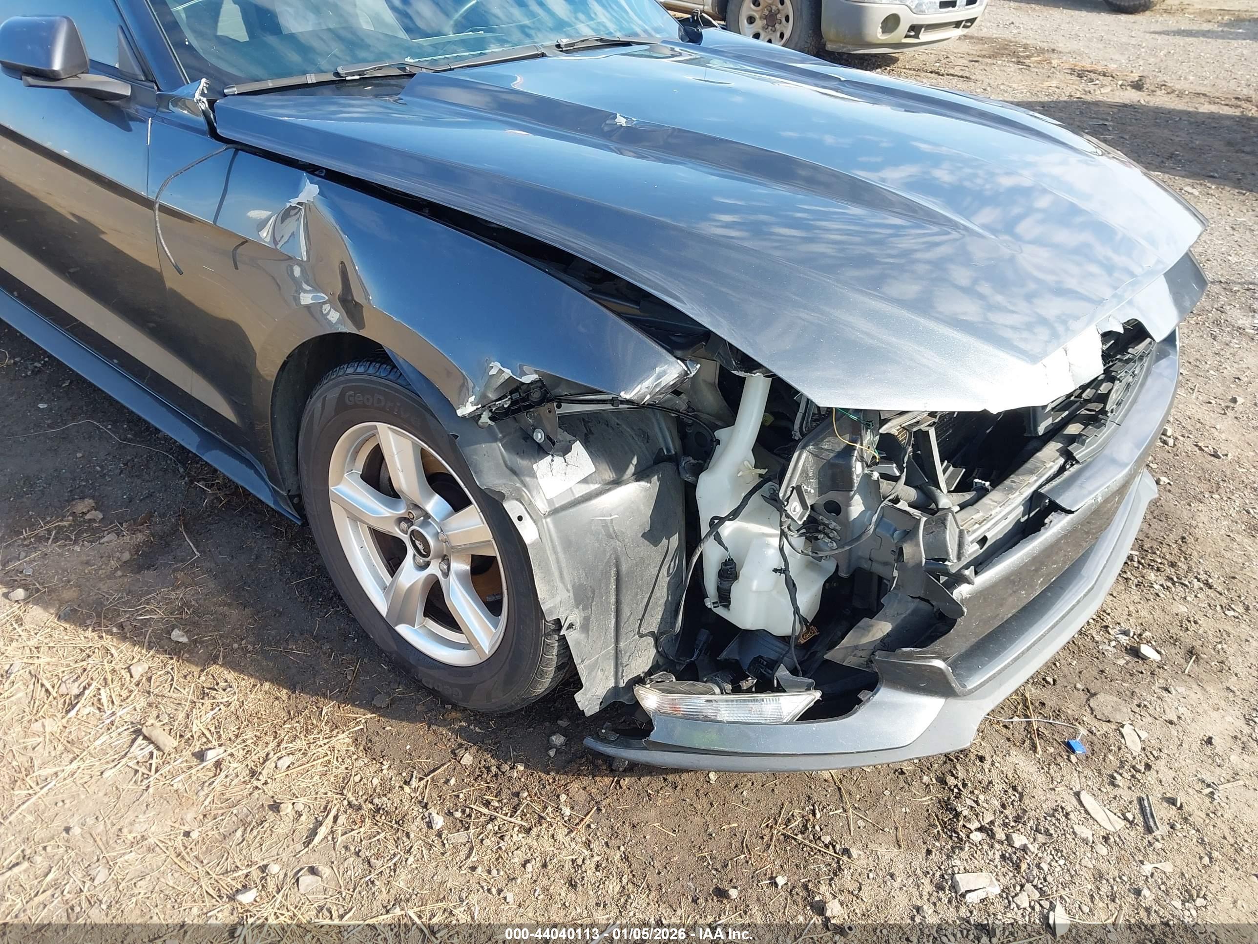 FORD MUSTANG image 6