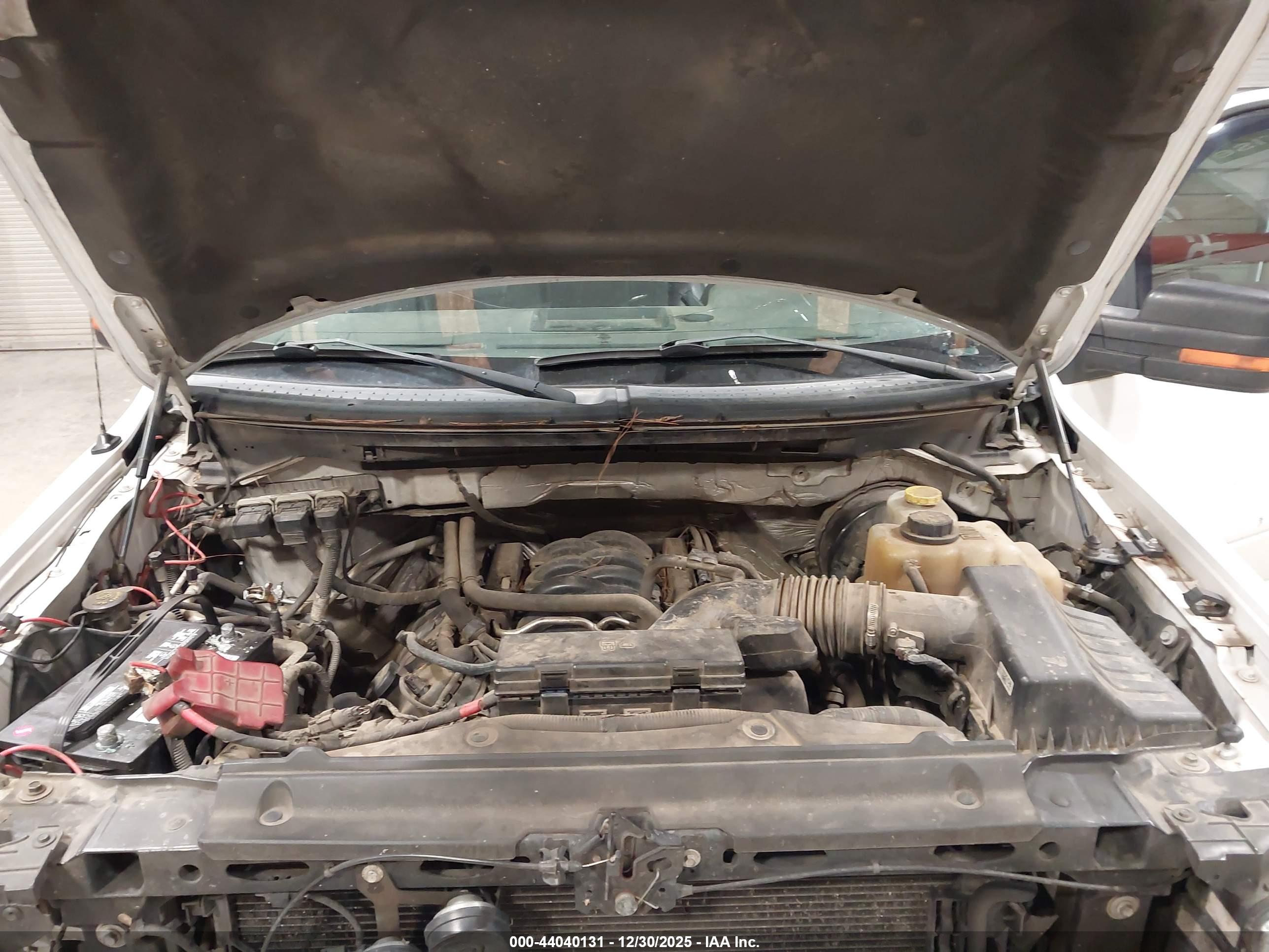 FORD F-150 image 10