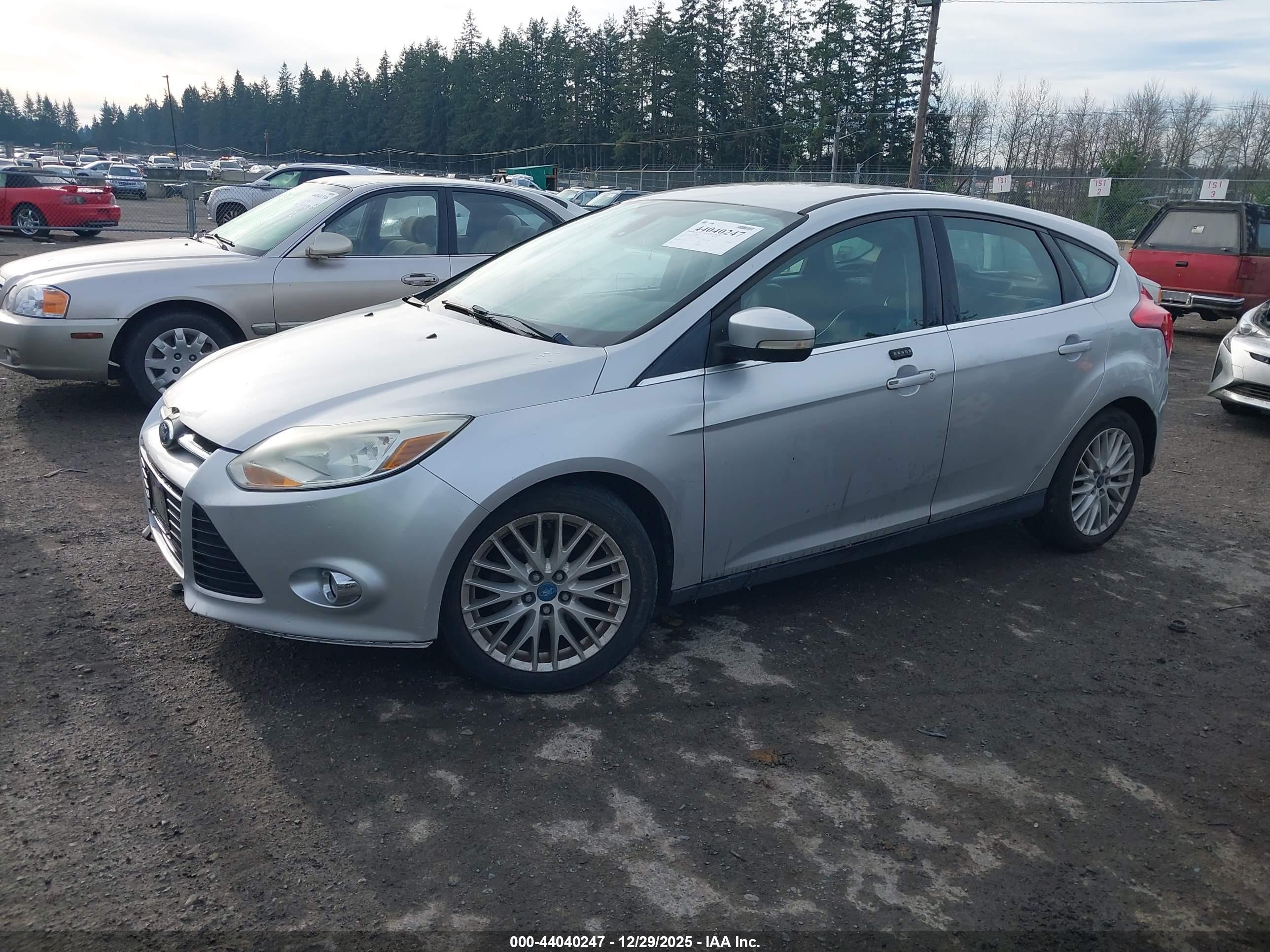 FORD FOCUS image 2
