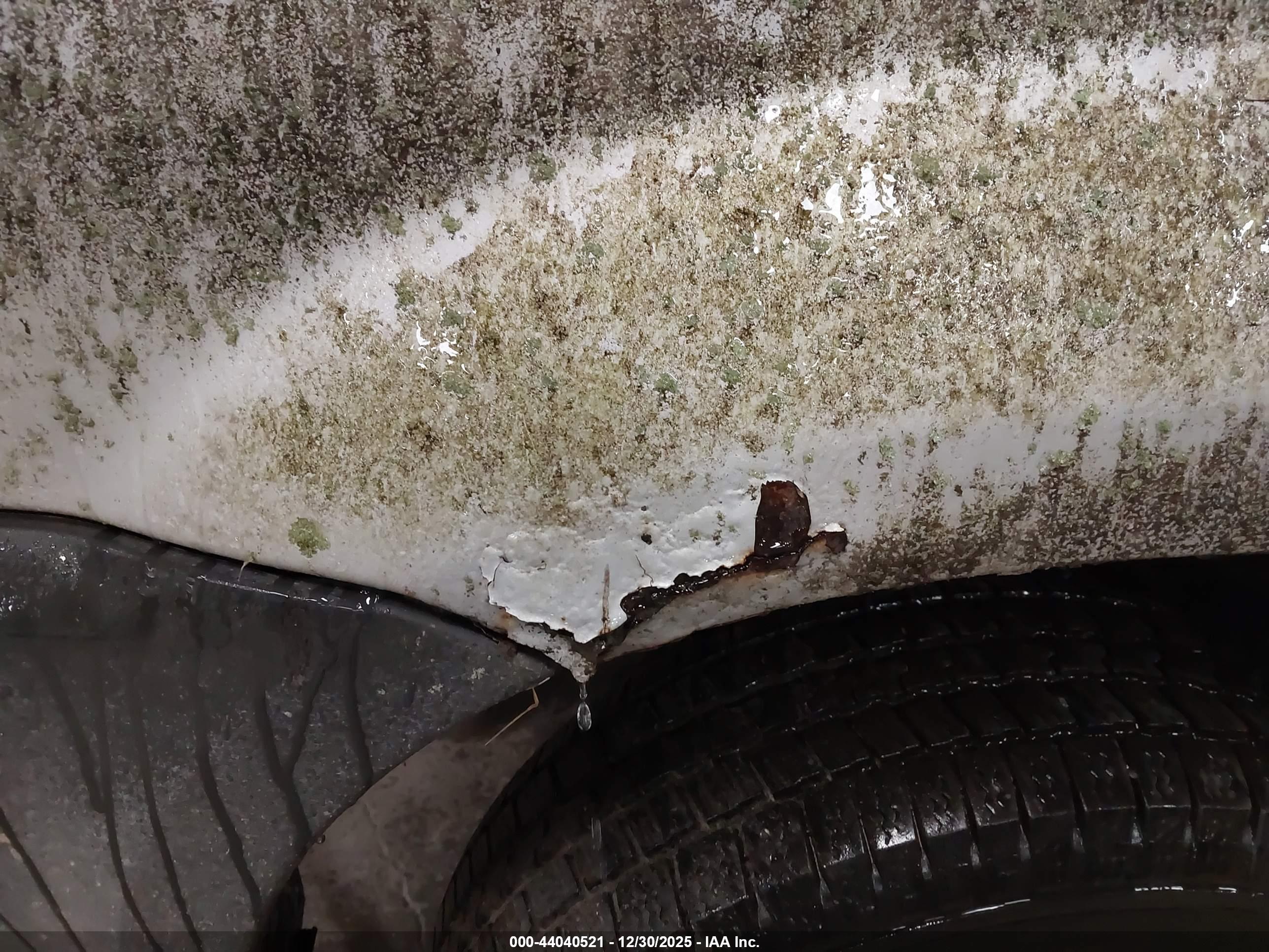 FORD ESCAPE image 6
