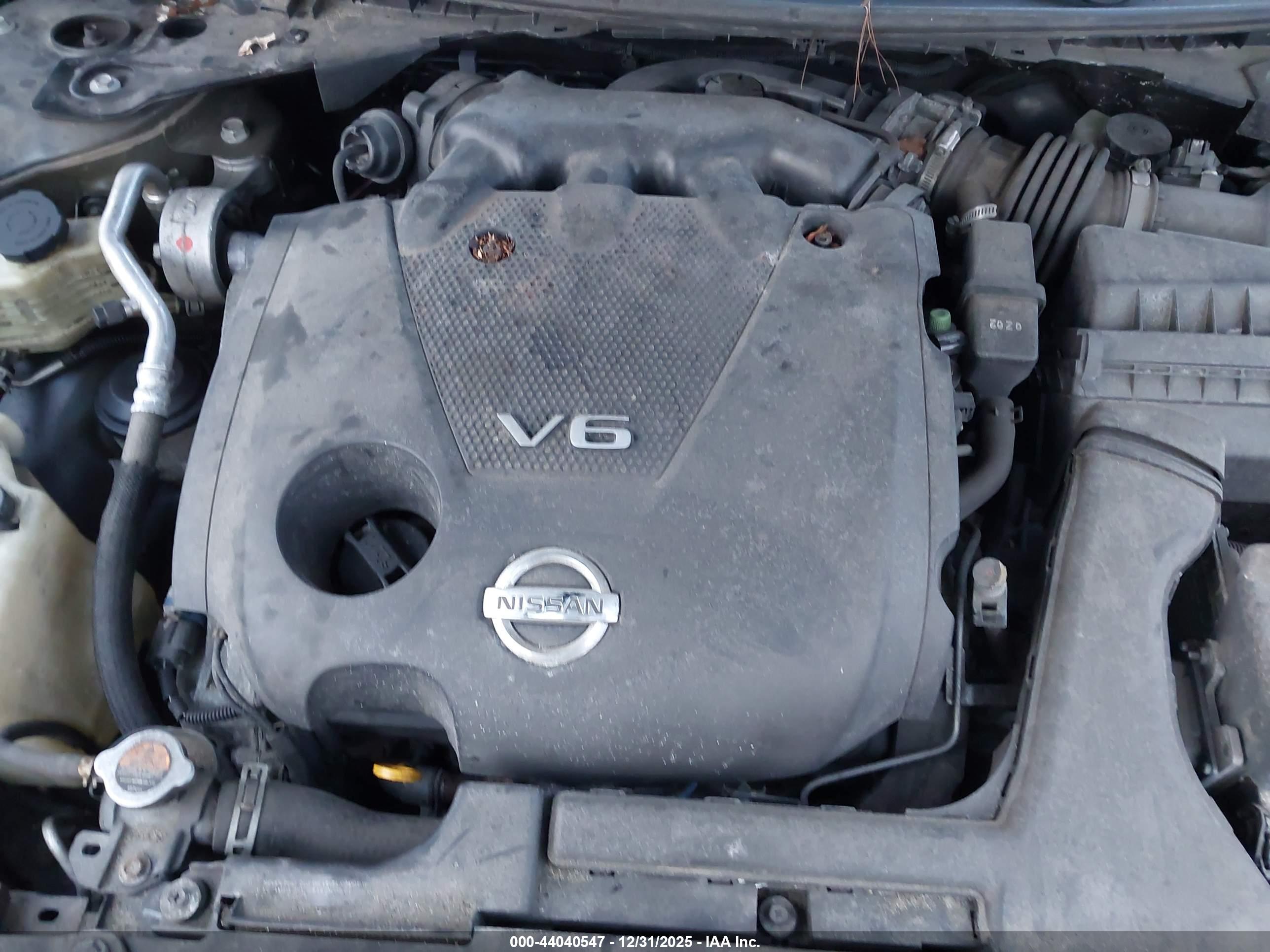 NISSAN MAXIMA image 10
