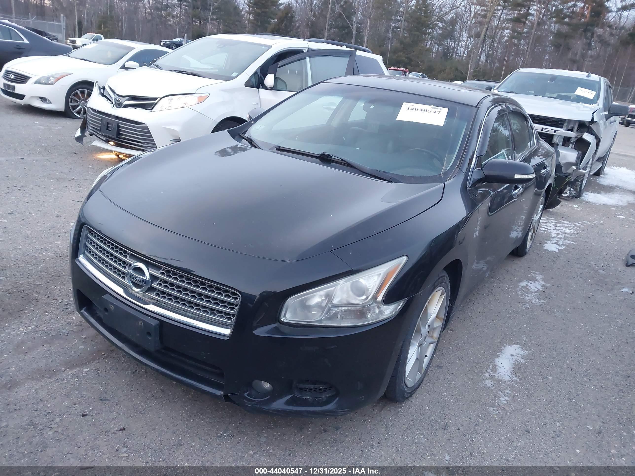 NISSAN MAXIMA image 2