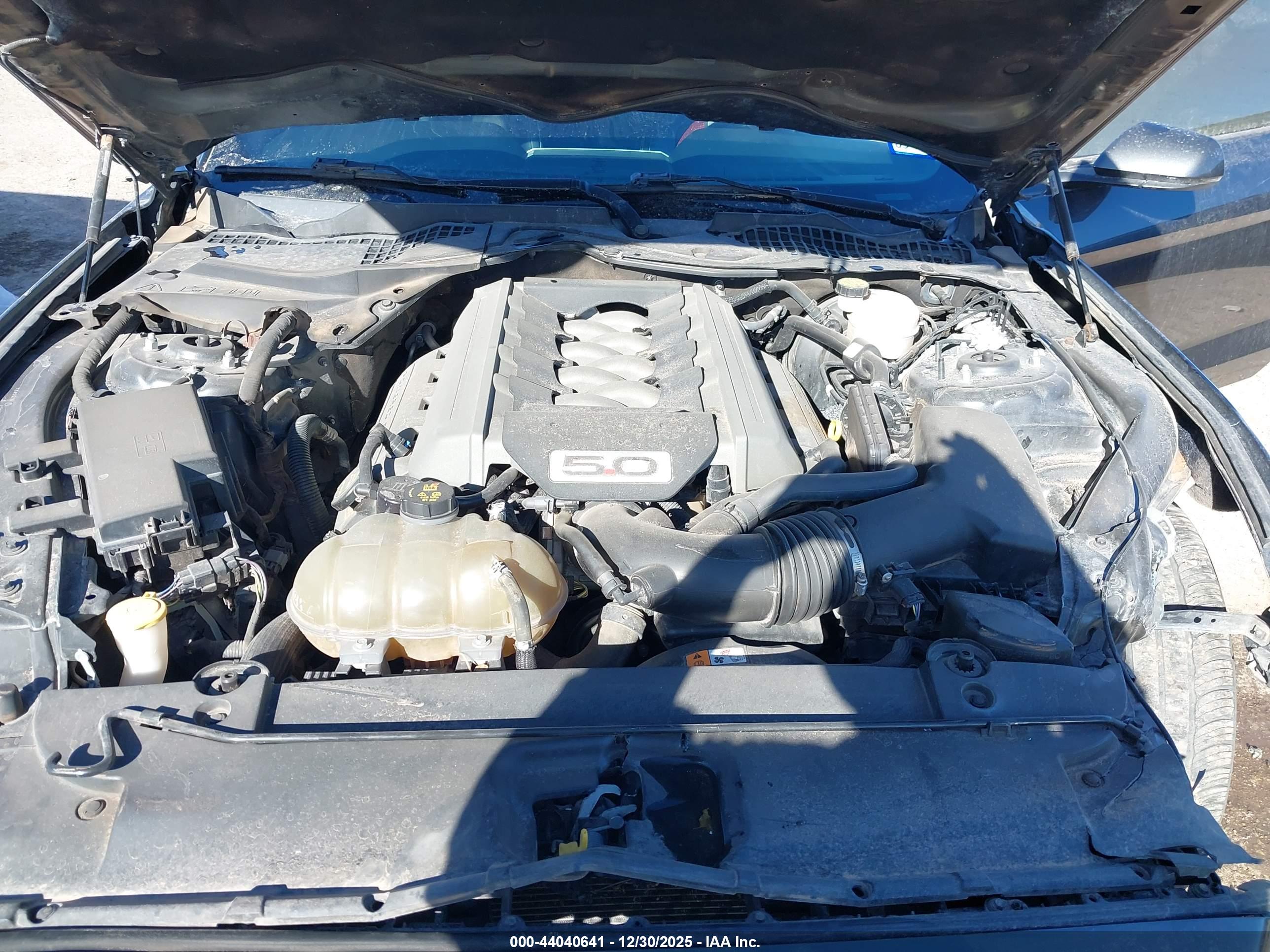 FORD MUSTANG image 10