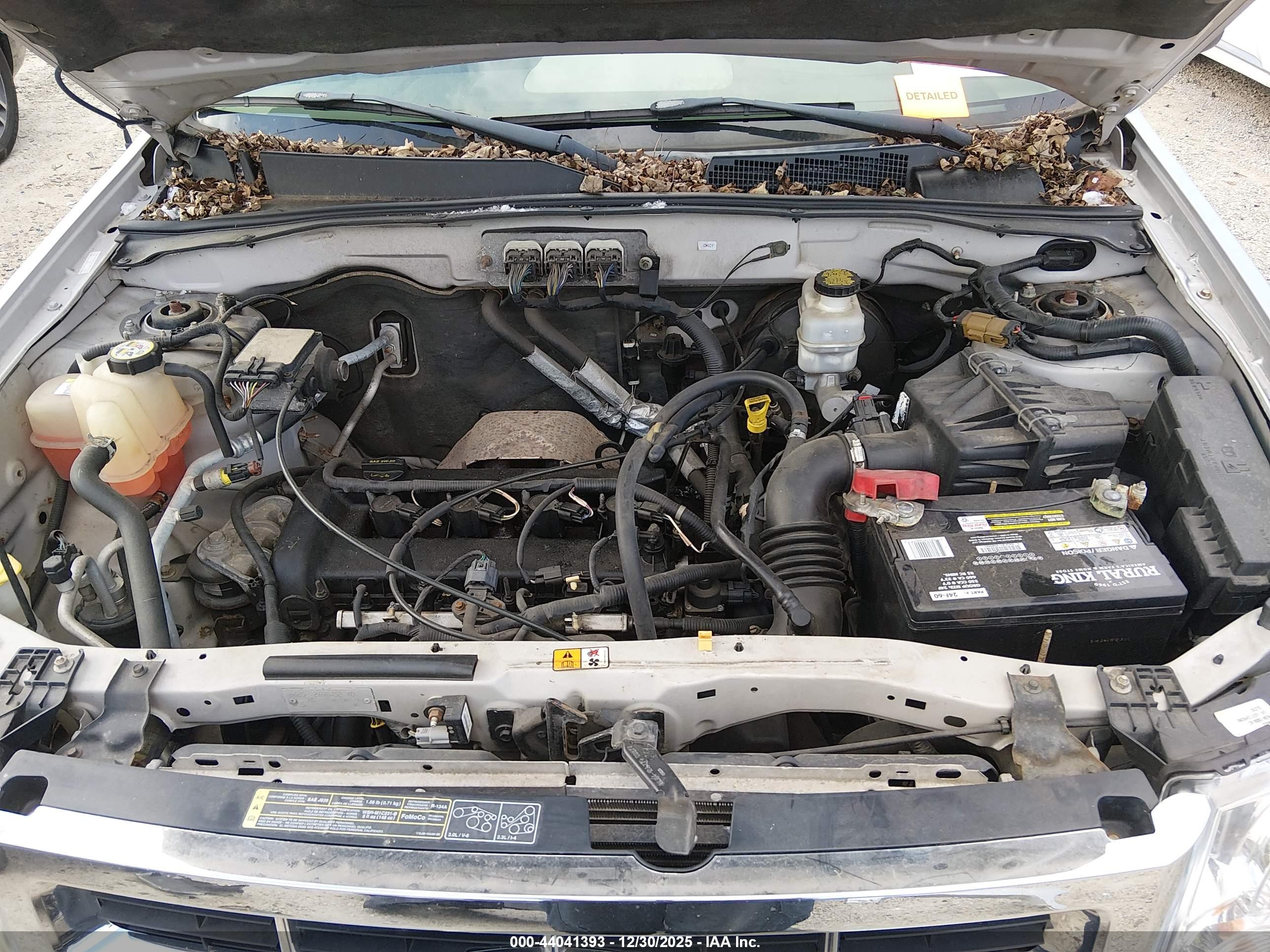 FORD ESCAPE image 10