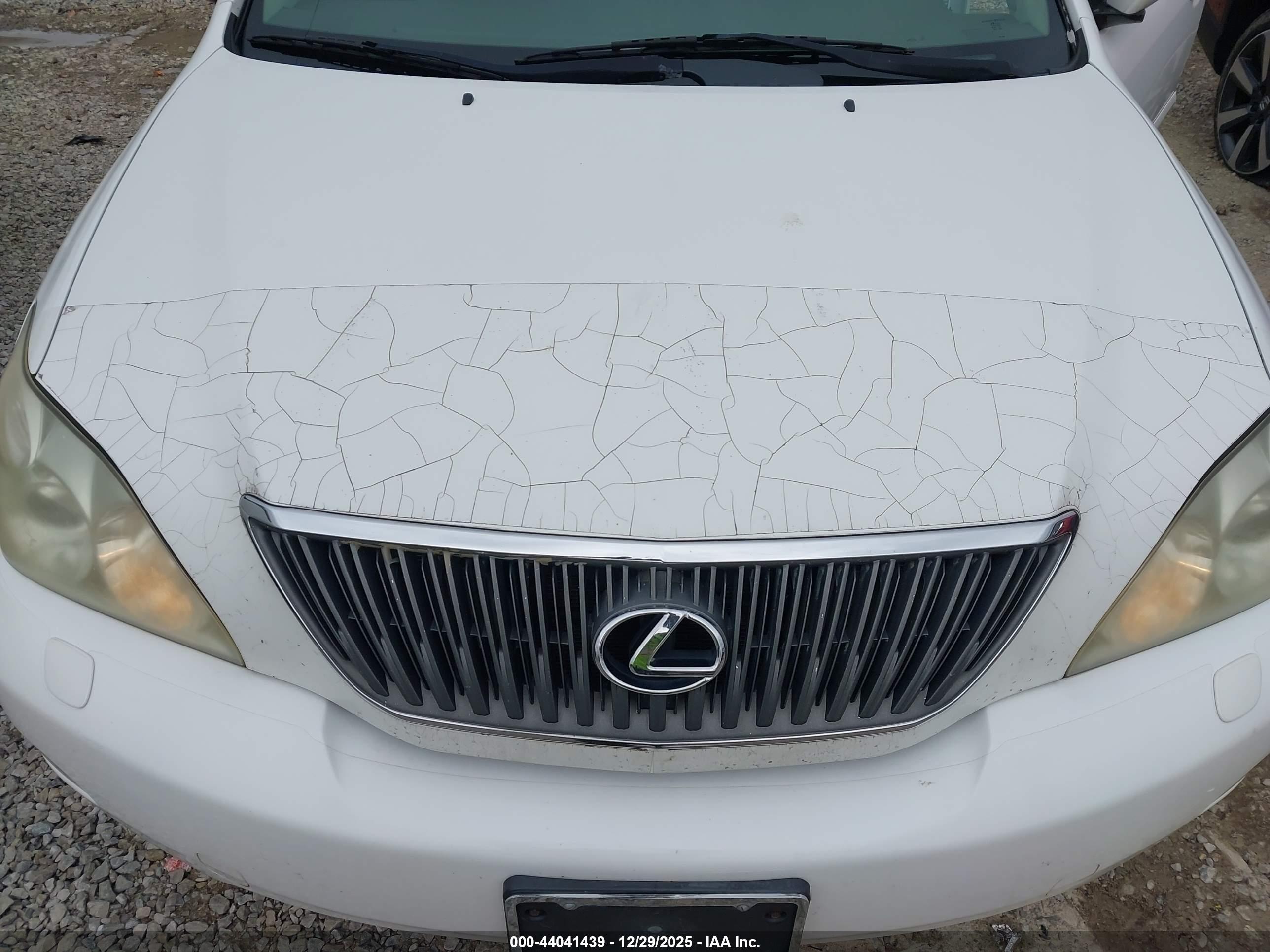 LEXUS RX image 6