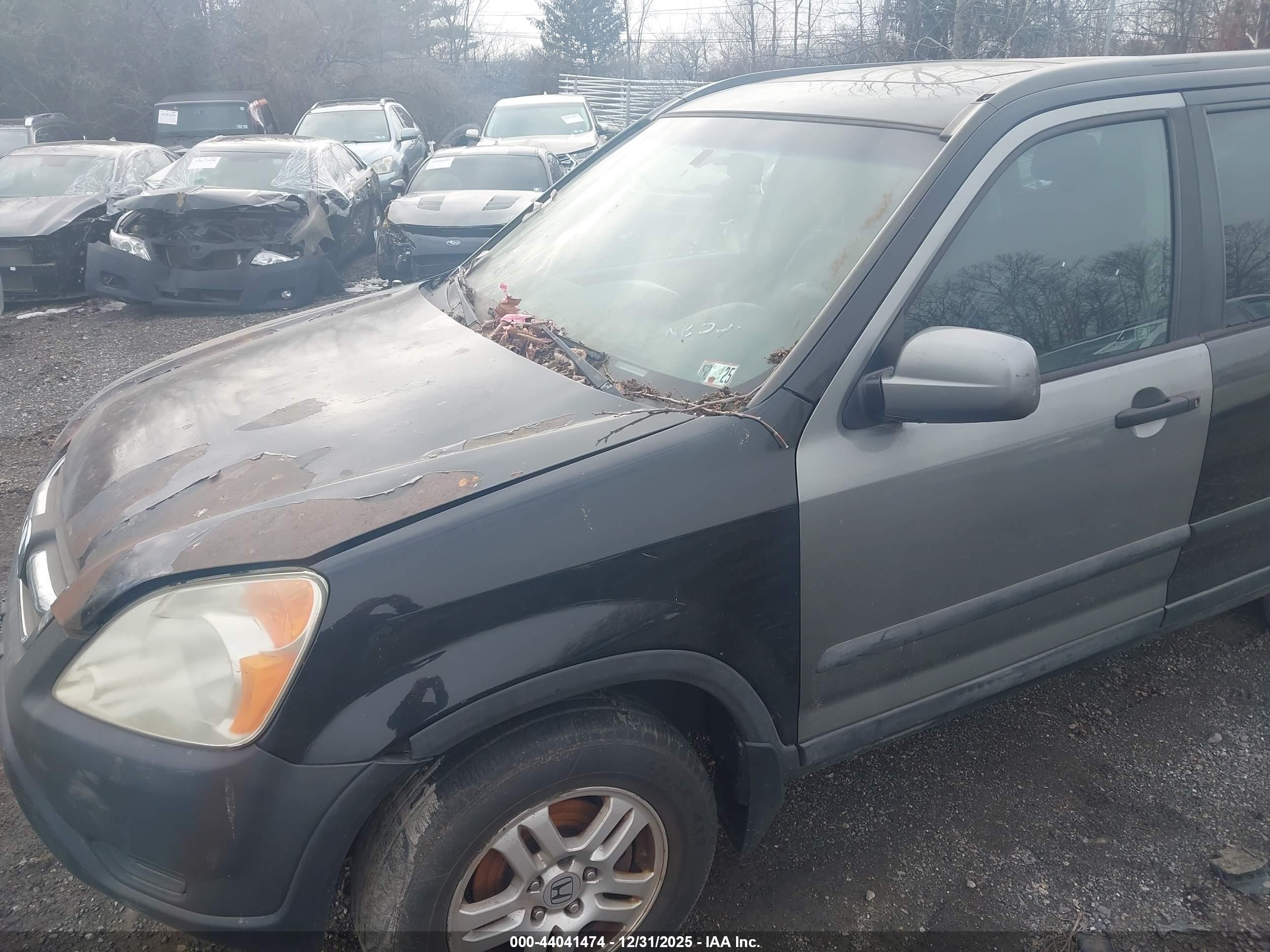 HONDA CR-V image 6
