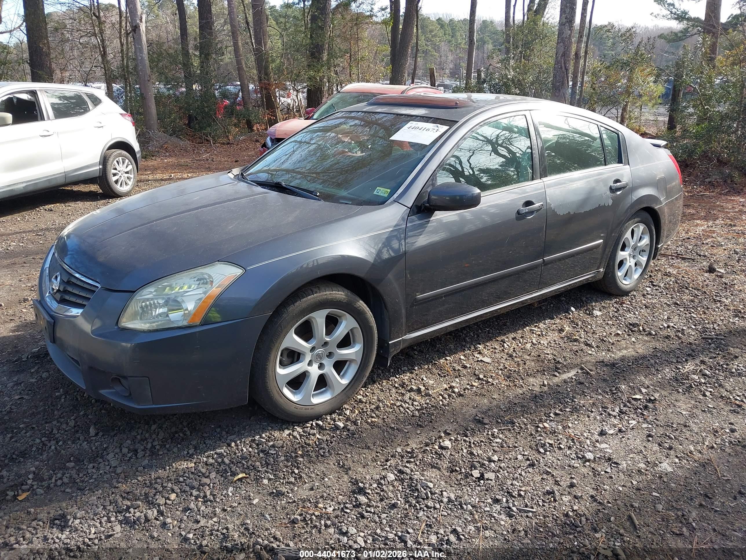 NISSAN MAXIMA image 2