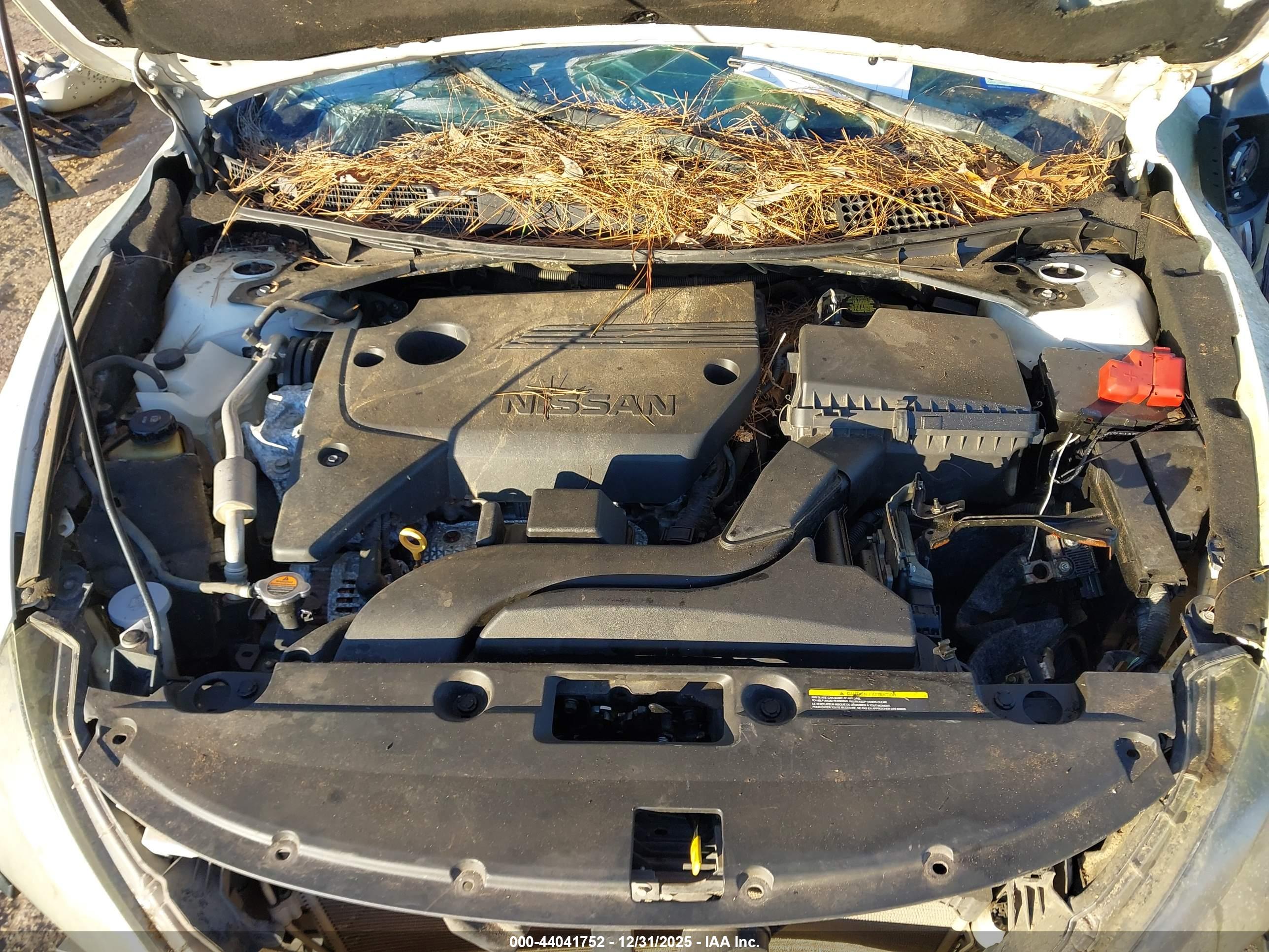 NISSAN ALTIMA image 10