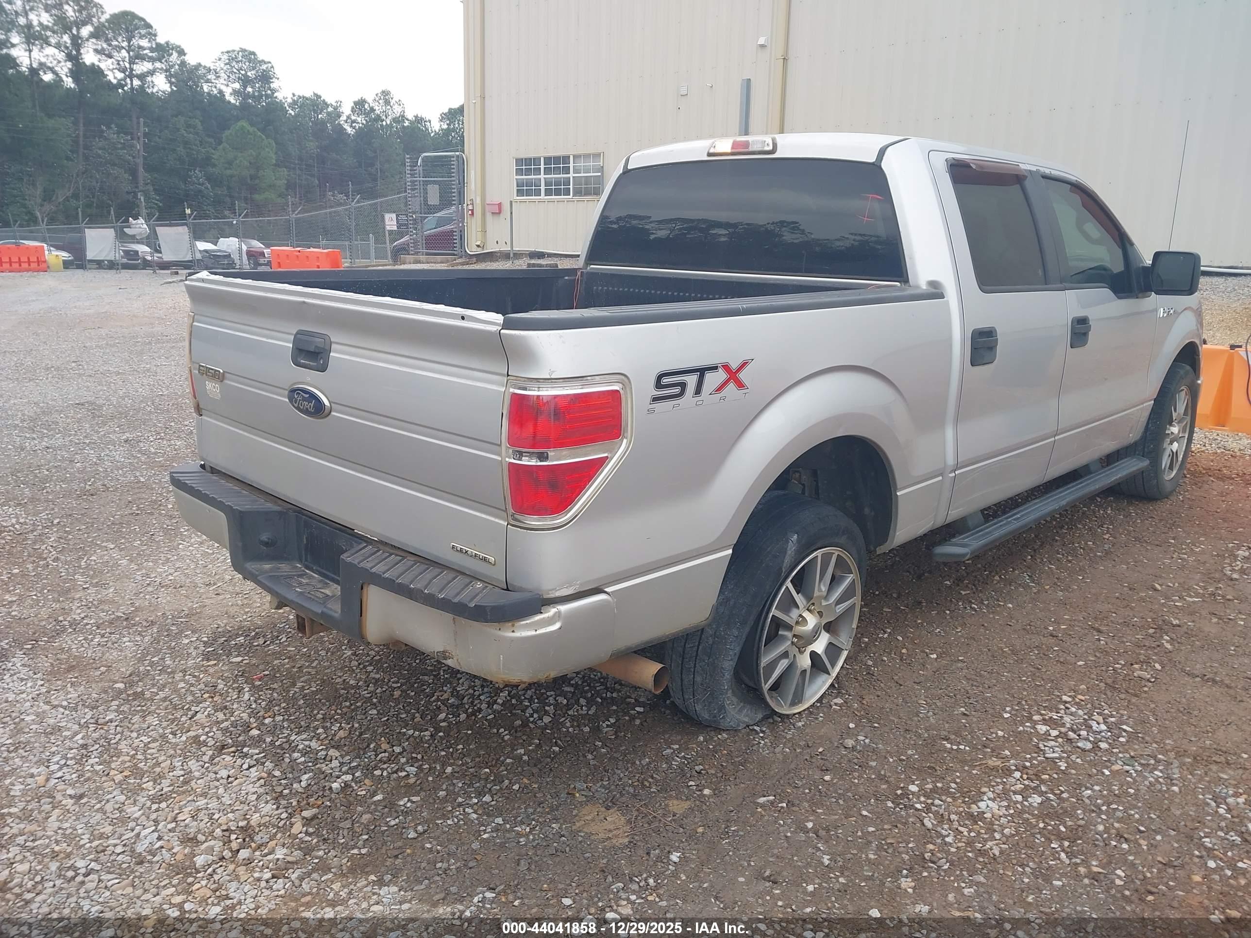 FORD F-150 image 4