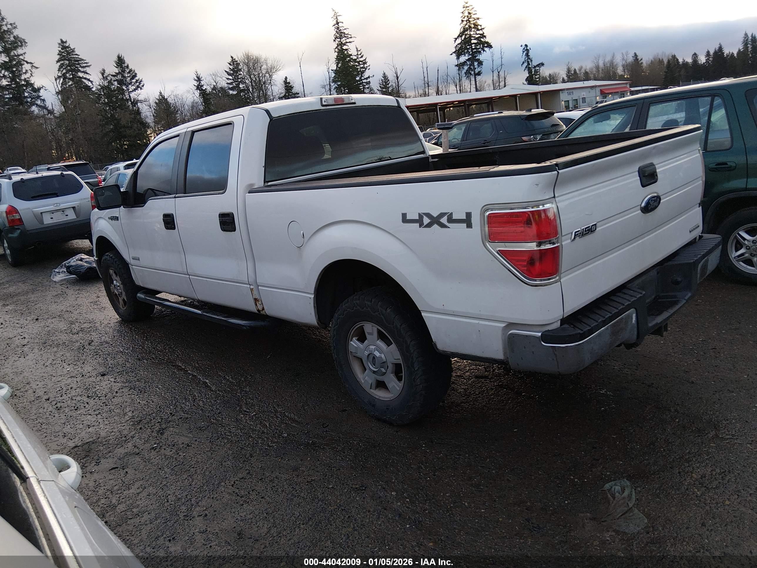 FORD F-150 image 3