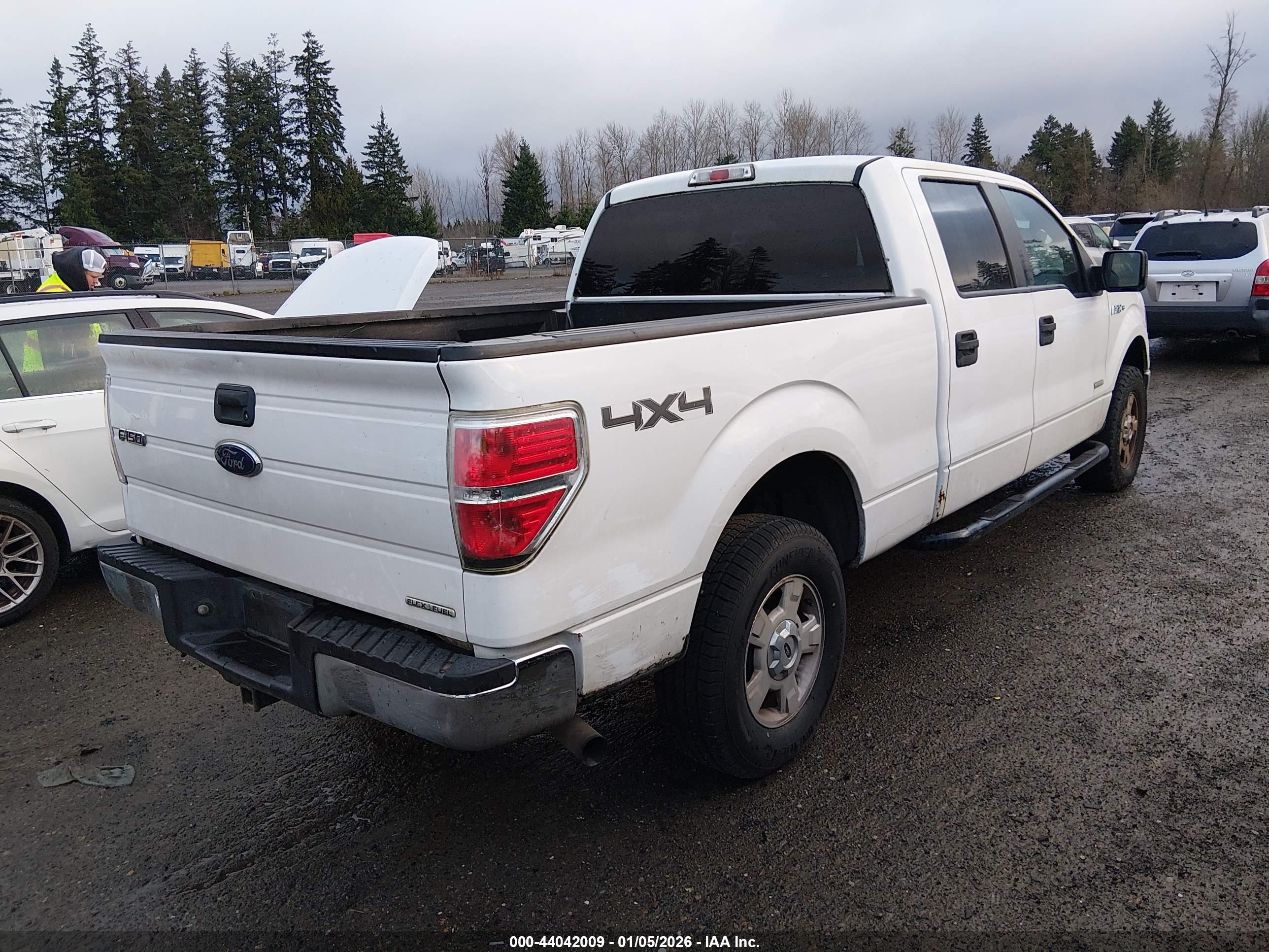 FORD F-150 image 4