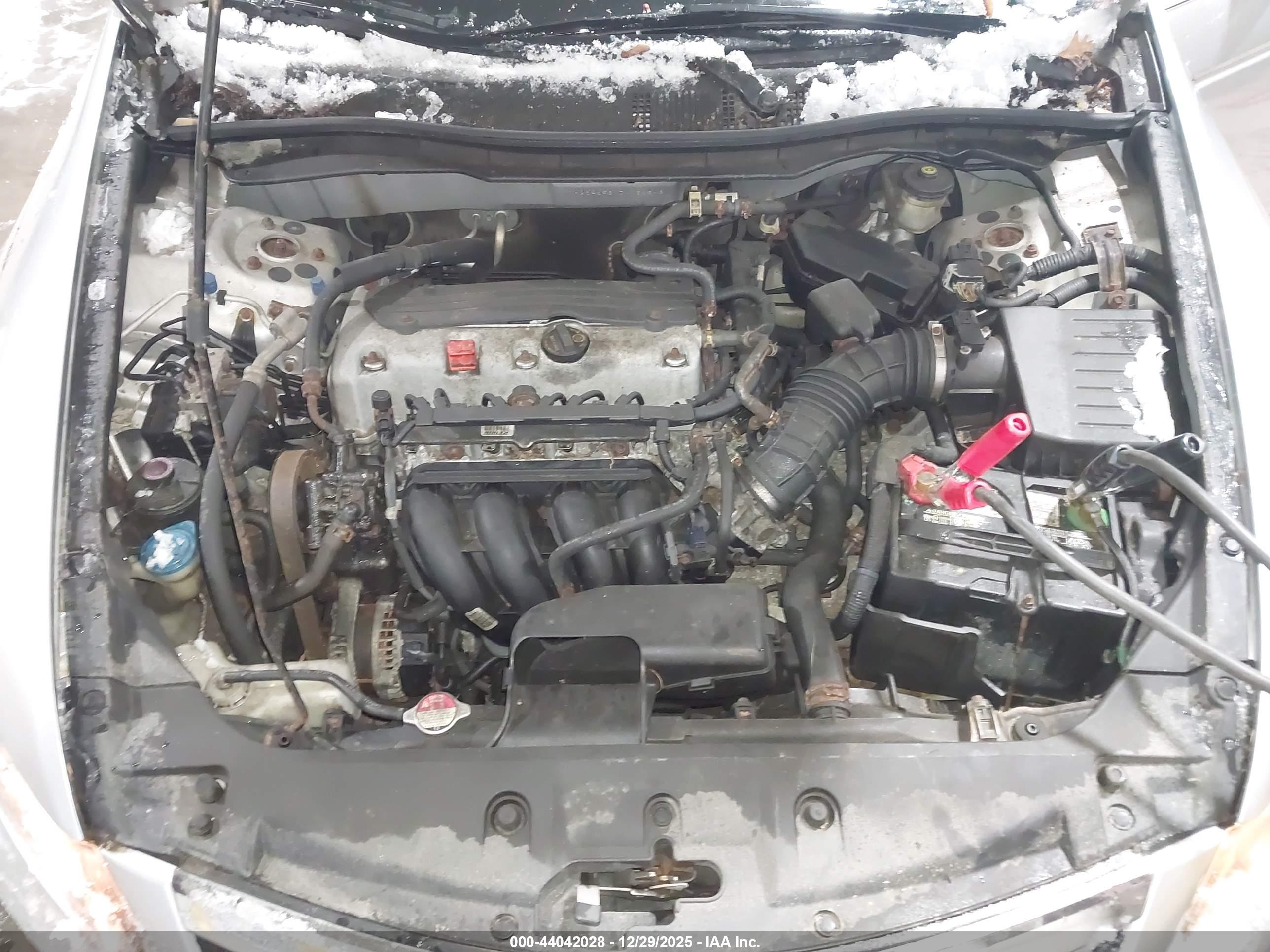 HONDA ACCORD image 10