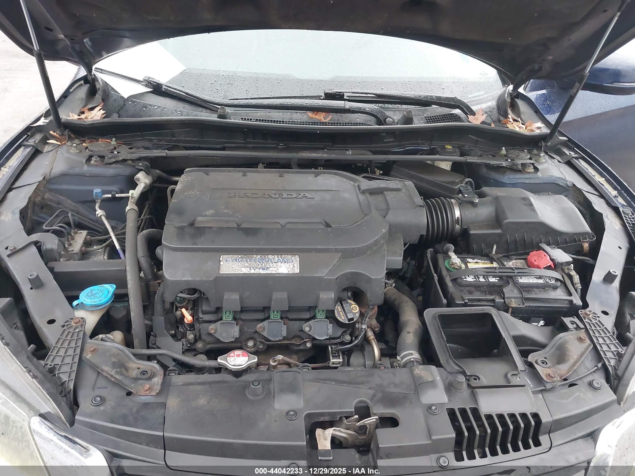 HONDA ACCORD image 10