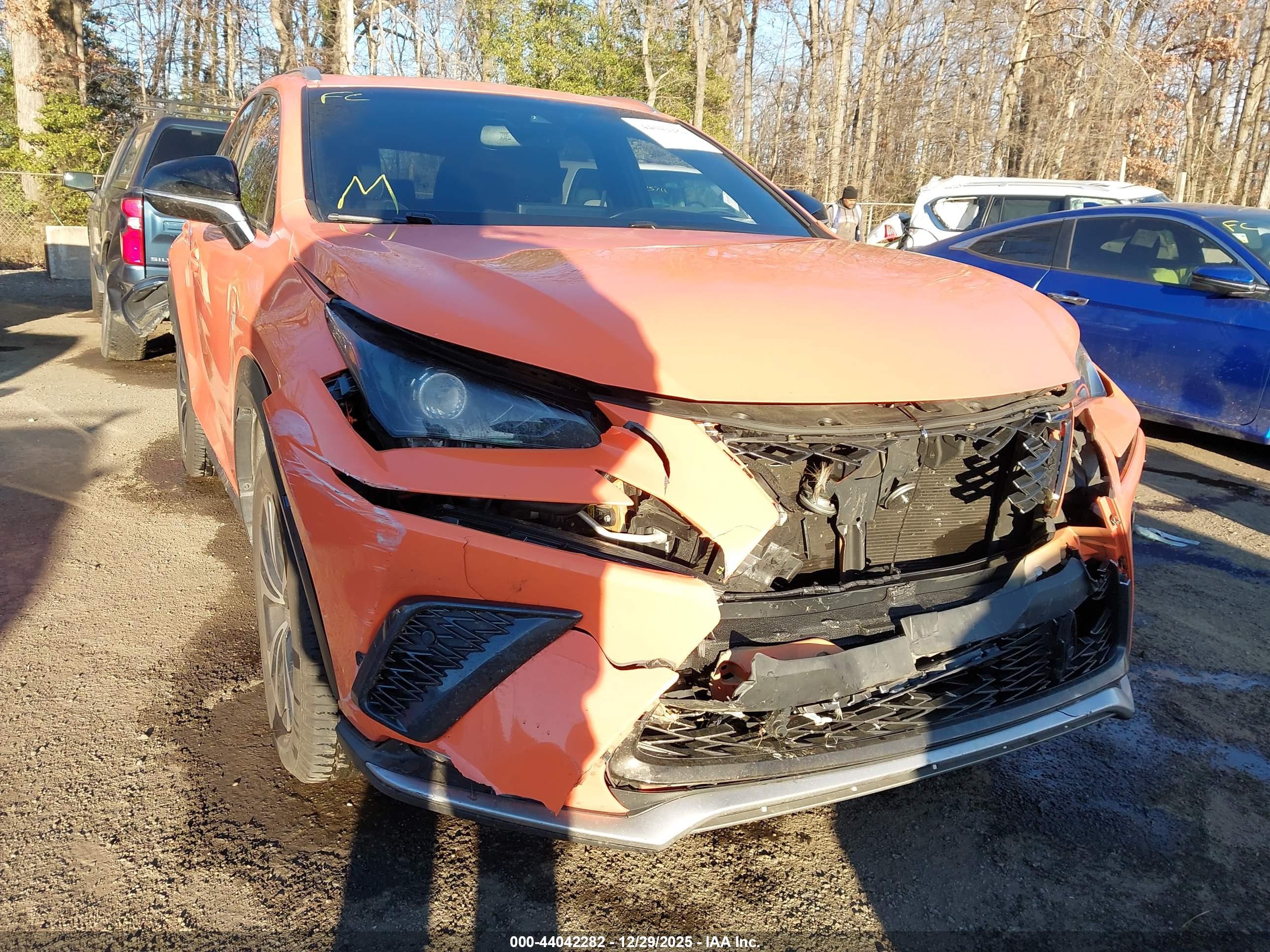 LEXUS NX image 6