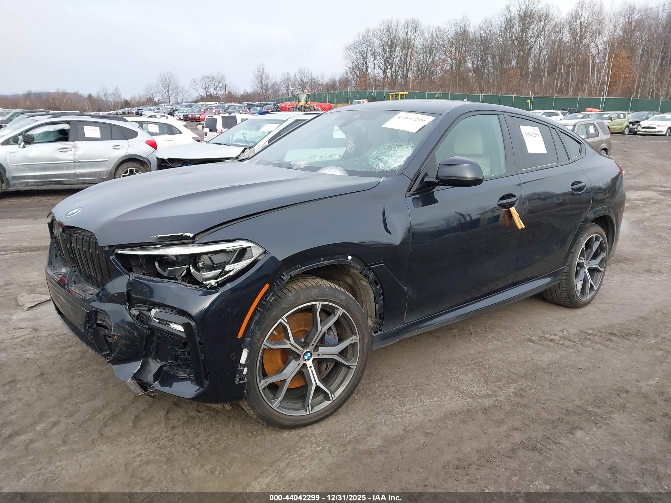 BMW X6 image 2