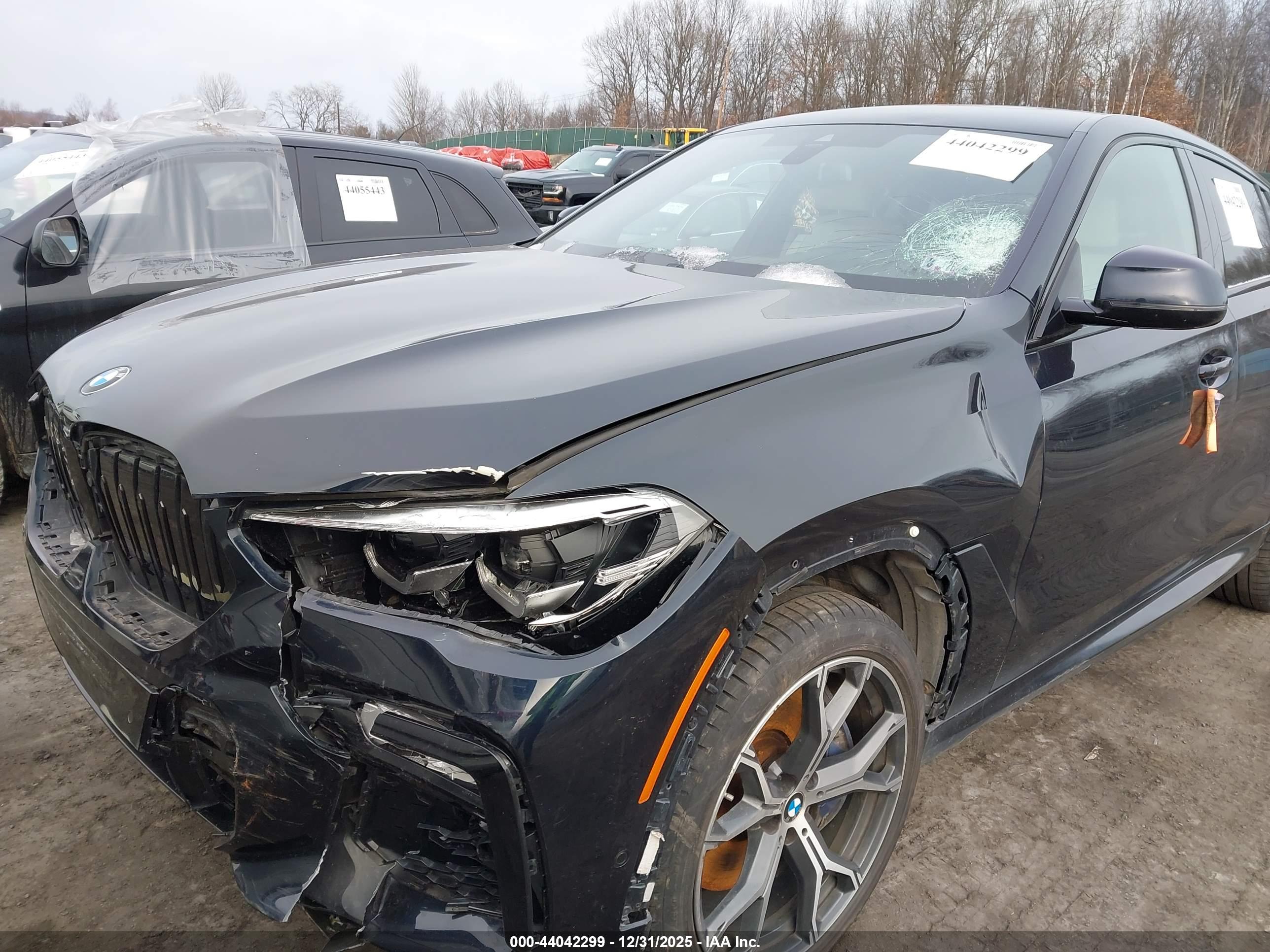 BMW X6 image 6