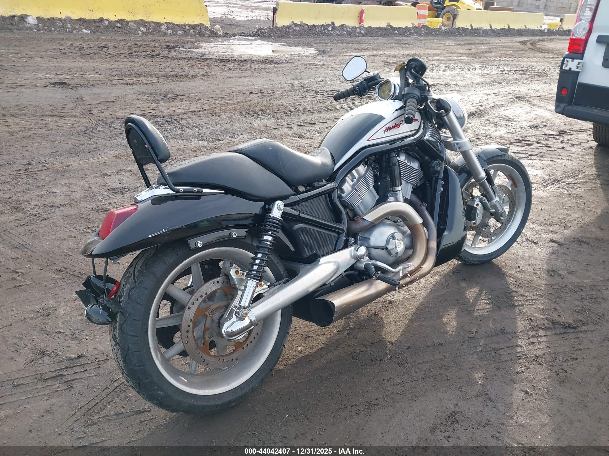 HARLEY-DAVIDSON VRSCR image 4